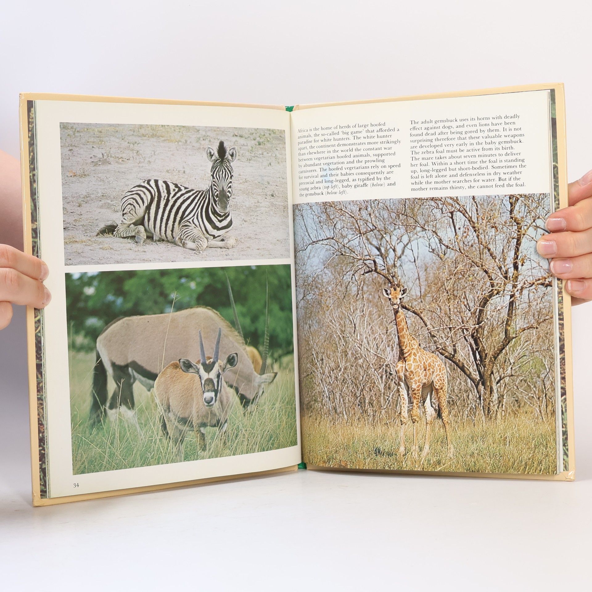 Maurice Burton Baby Animals