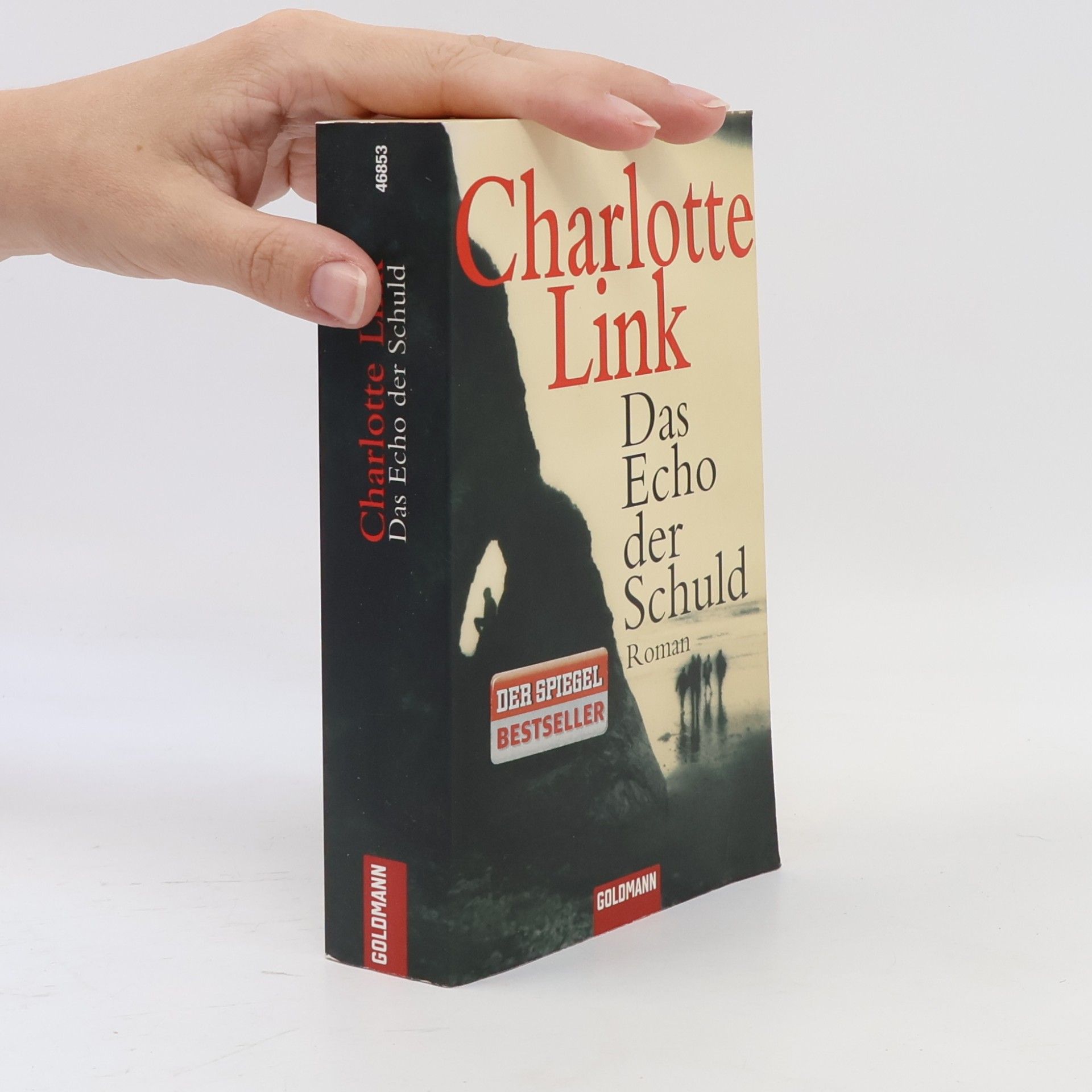Charlotte Link Das Echo der Schuld