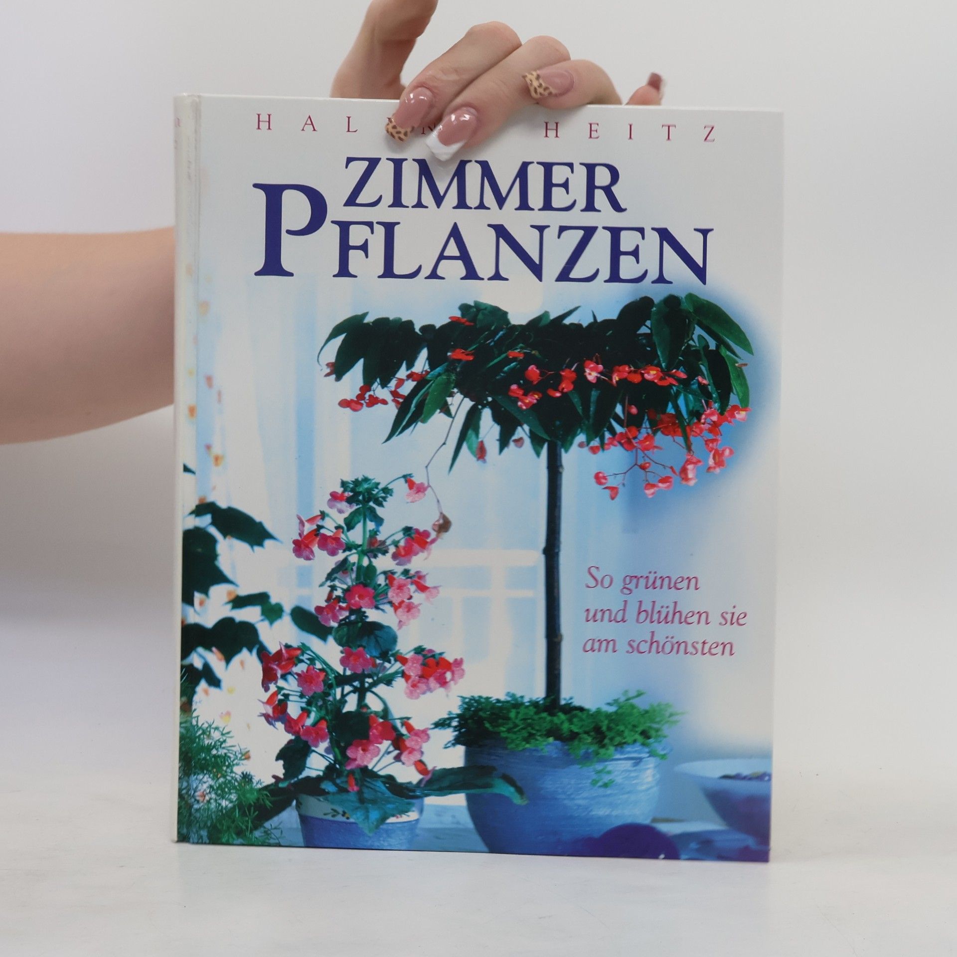 Halina Heitz Zimmerpflanzen