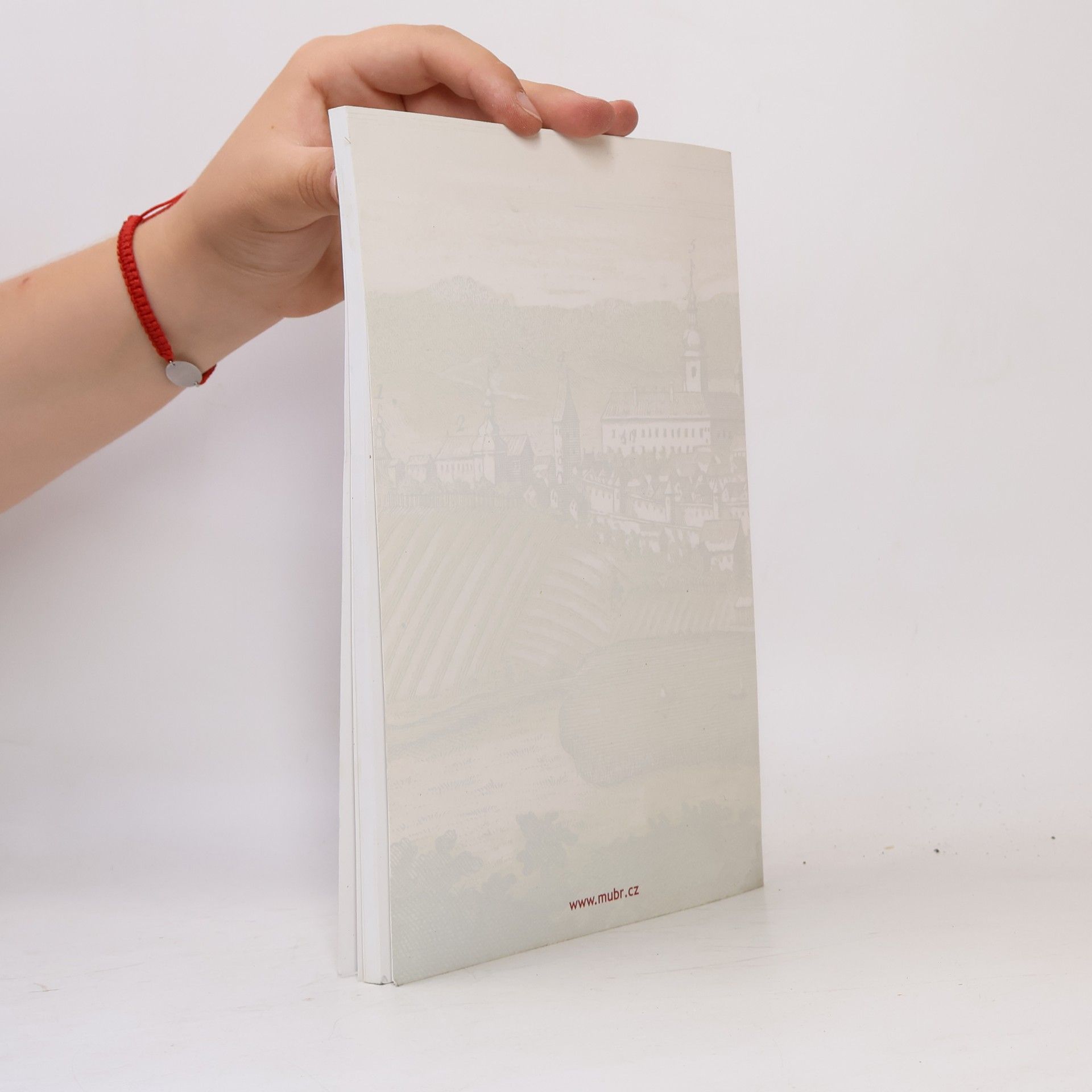 Collectif d'auteurs Sborník bruntálského muzea 2012