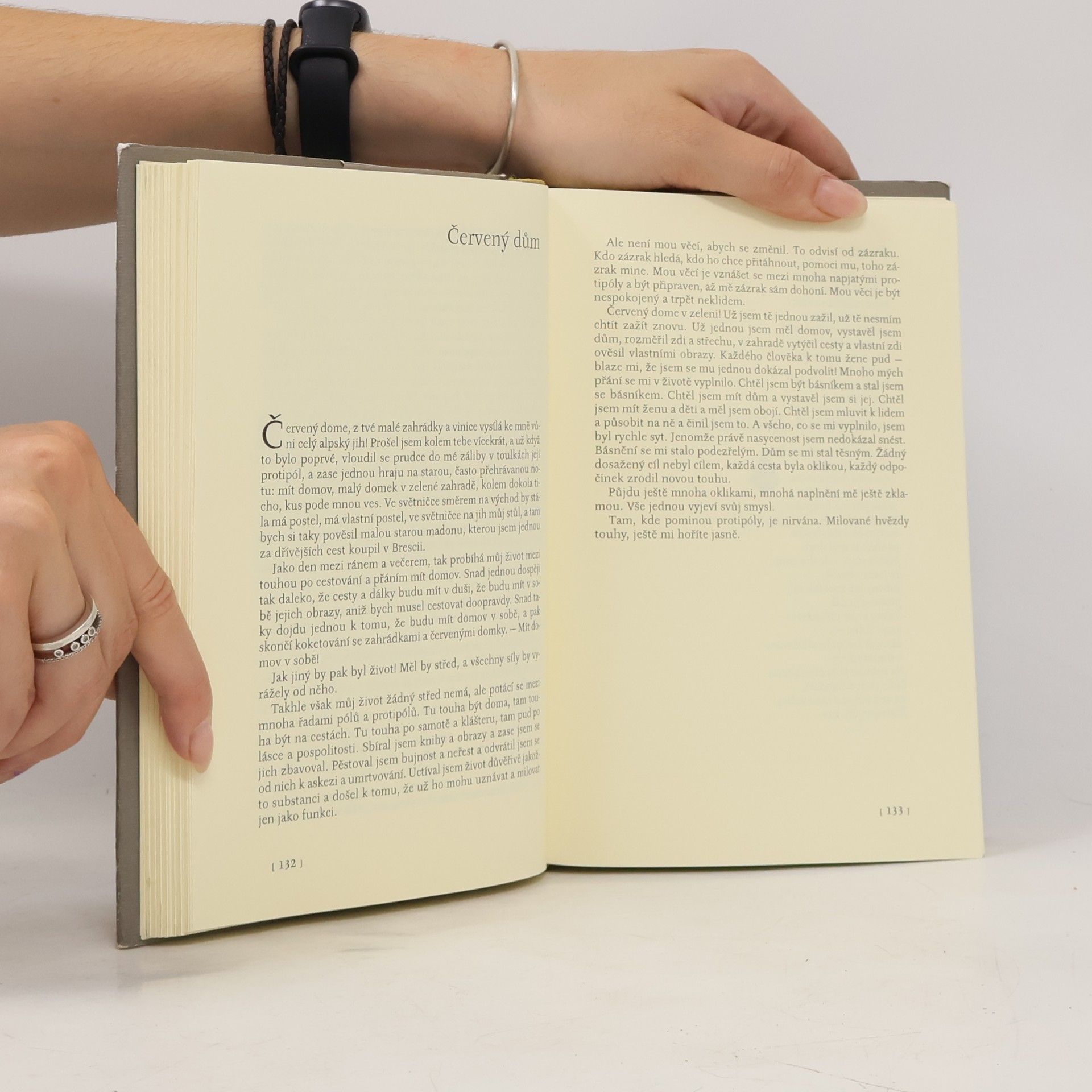 Hermann Hesse Souborné dílo VI.