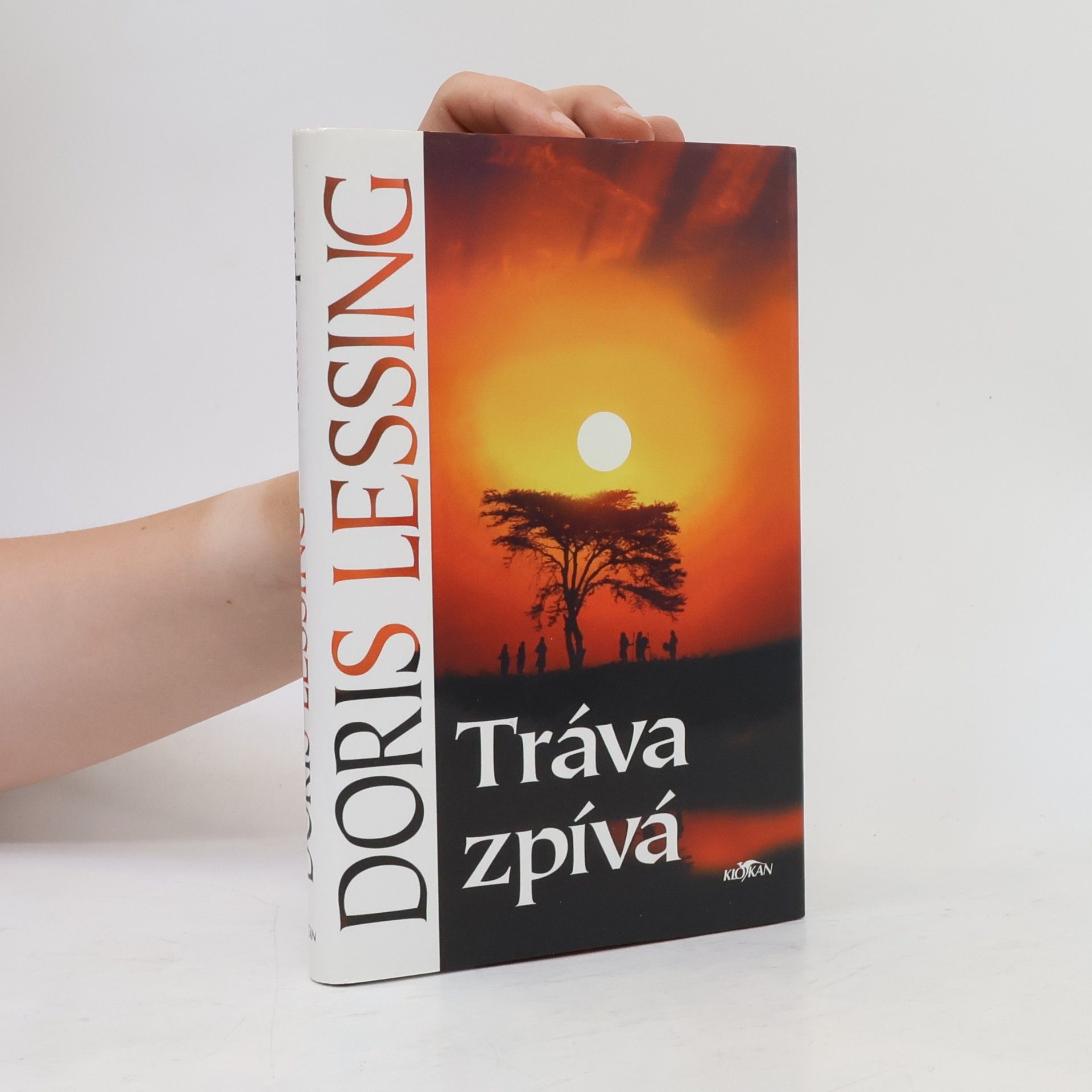 Doris Lessing Tráva zpívá