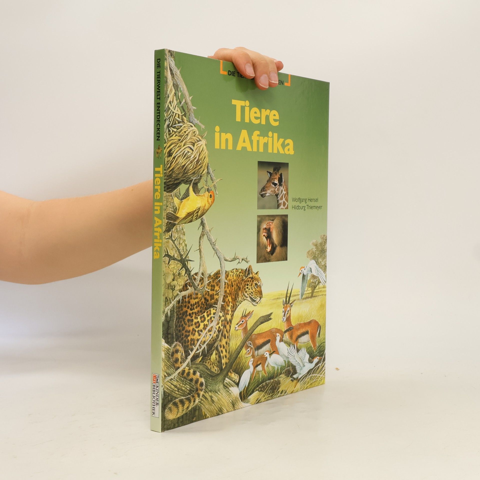 Autorenkollektiv Tiere in Afrika