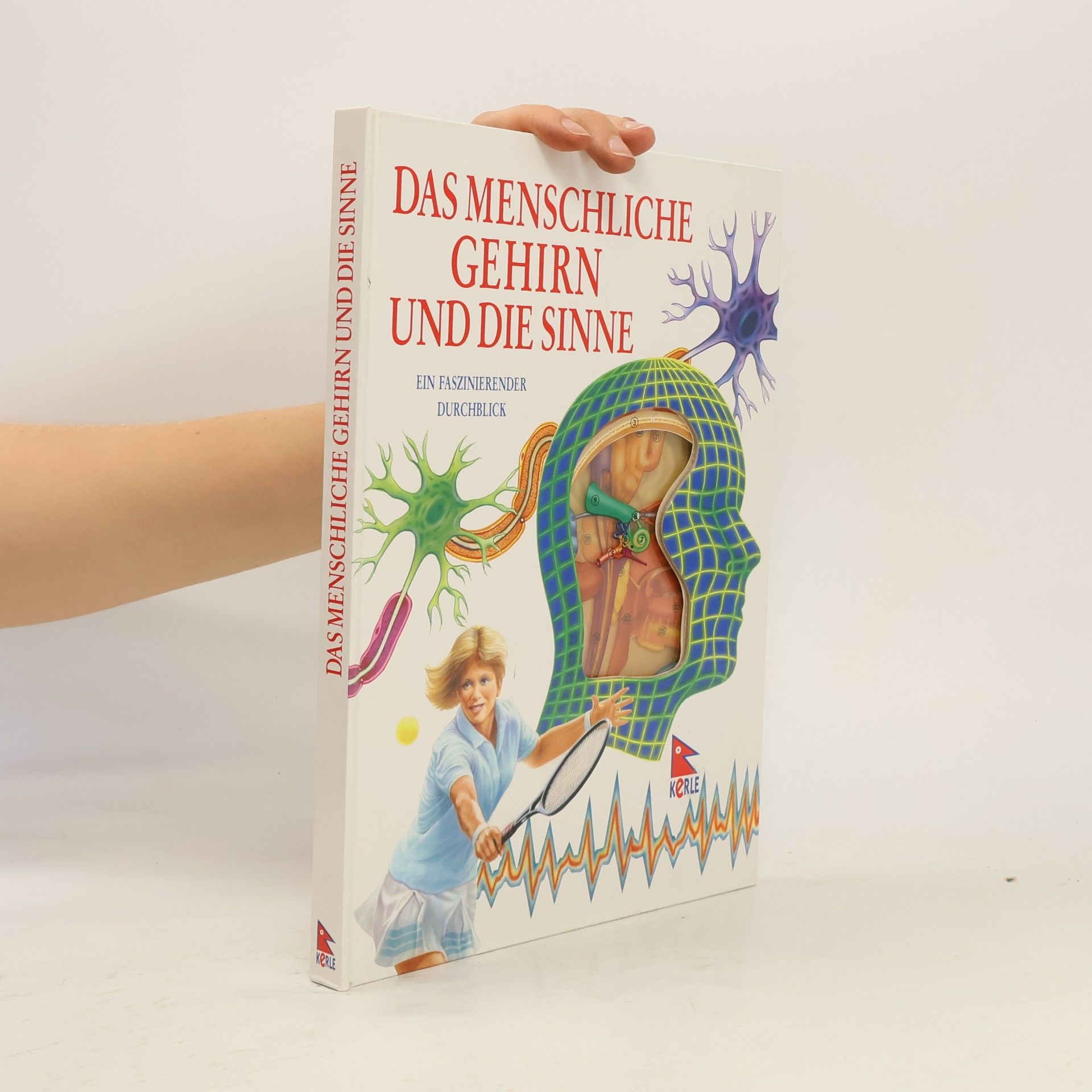 Jenny Bryan Das menschliche Gehirn und seine Sinne