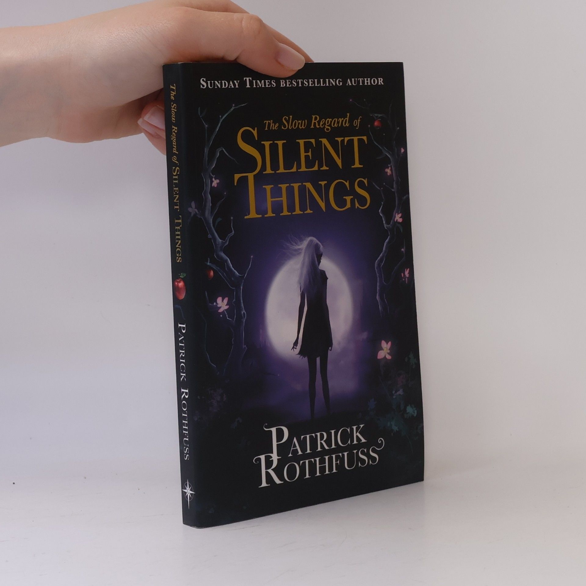Patrick Rothfuss The Slow Regard of Silent Things