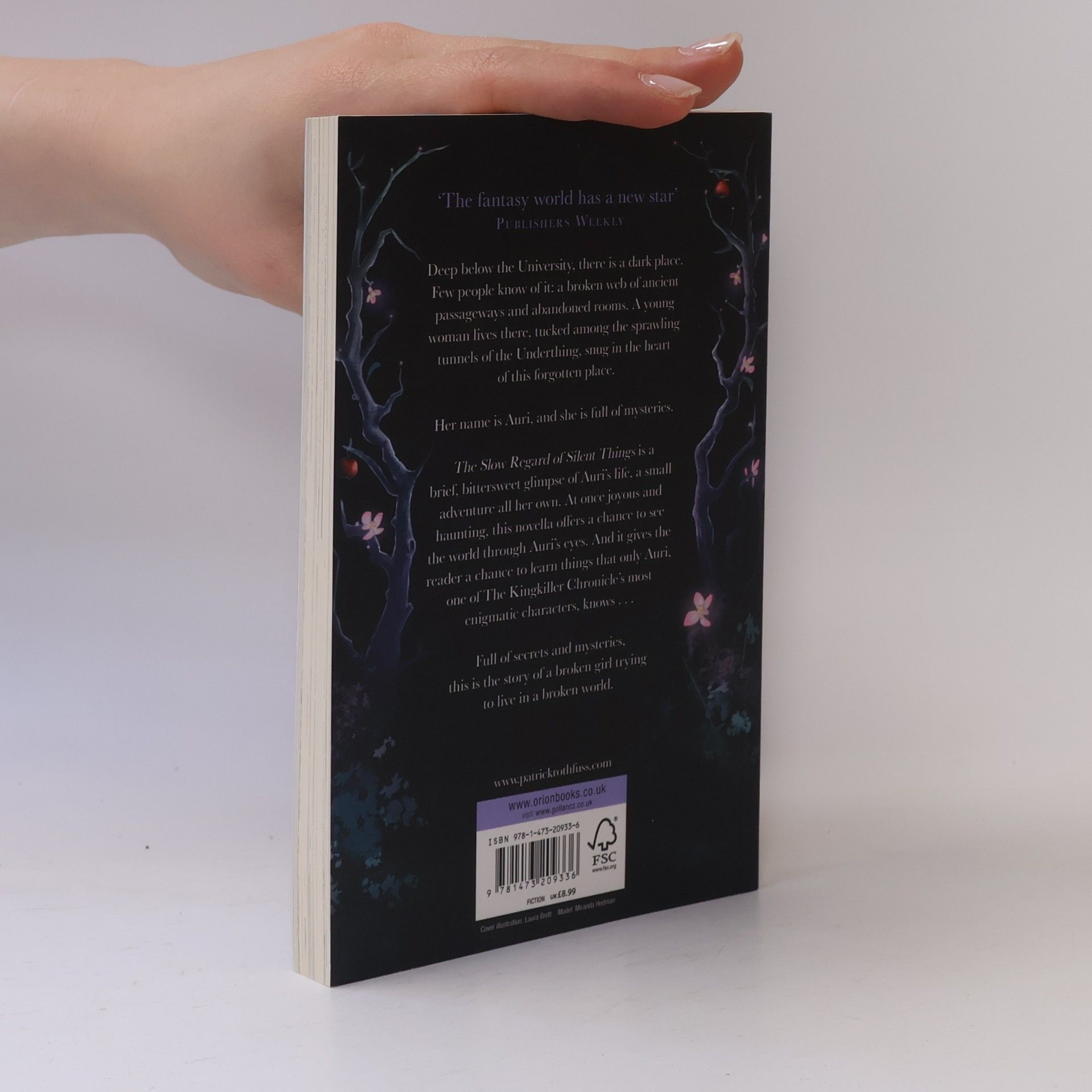 Patrick Rothfuss The Slow Regard of Silent Things