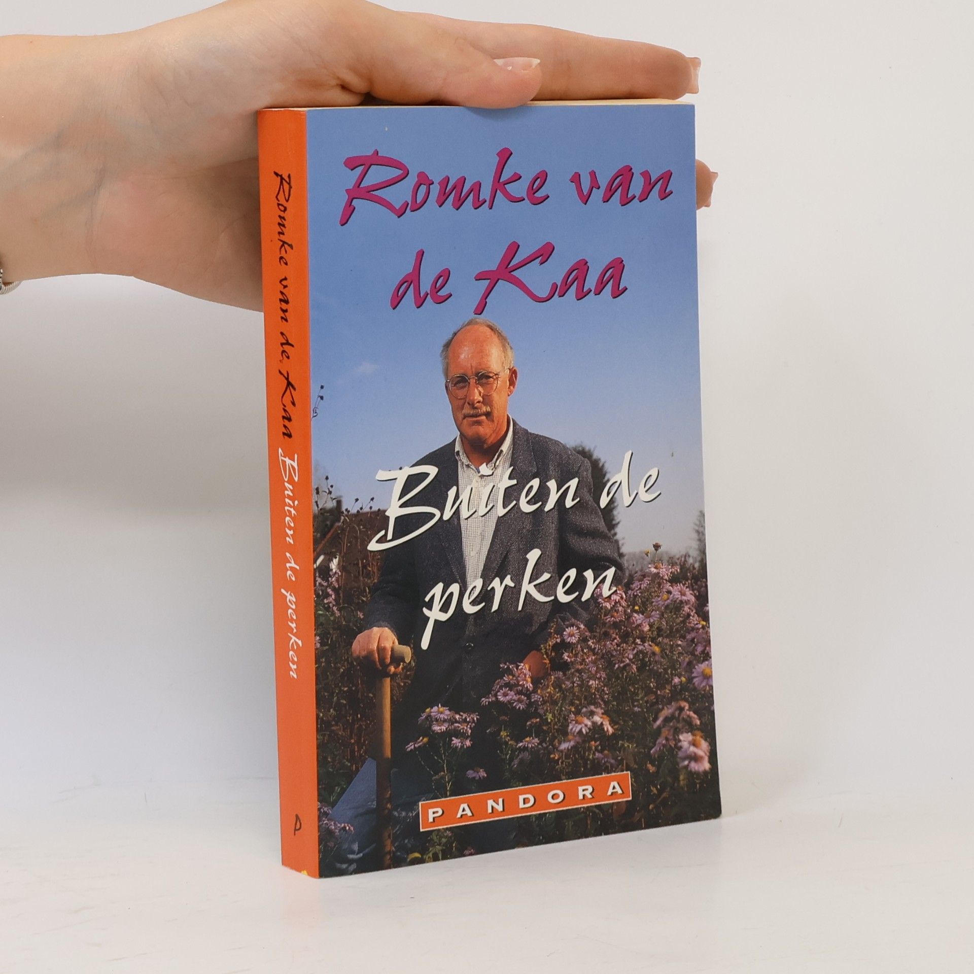 Romke van de Kaa Buiten de perken