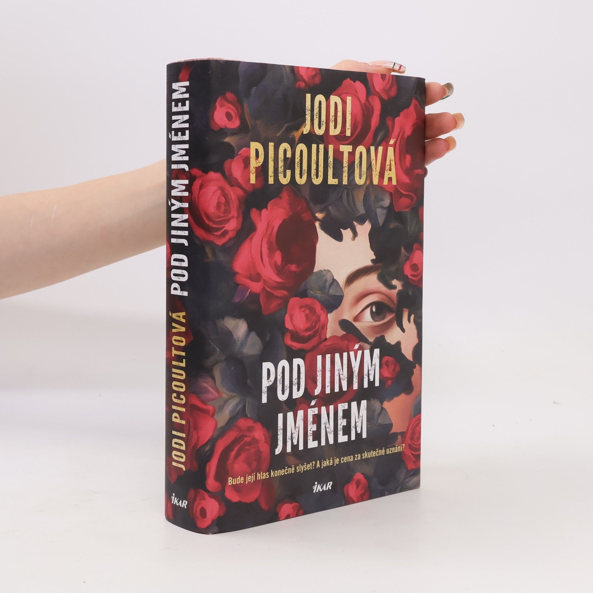 Jodi Picoult Pod jiným jménem