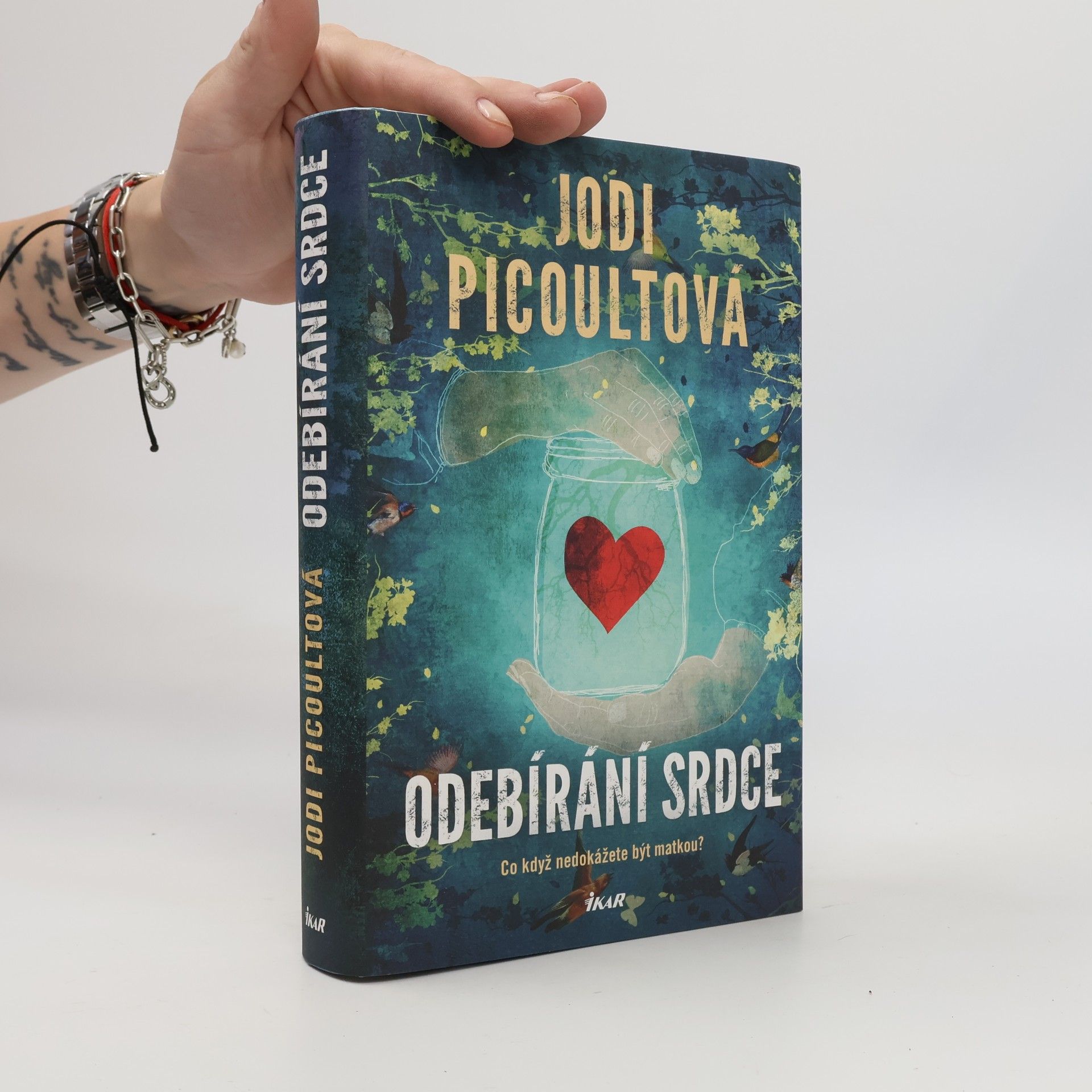 Jodi Picoult Odebírání srdce