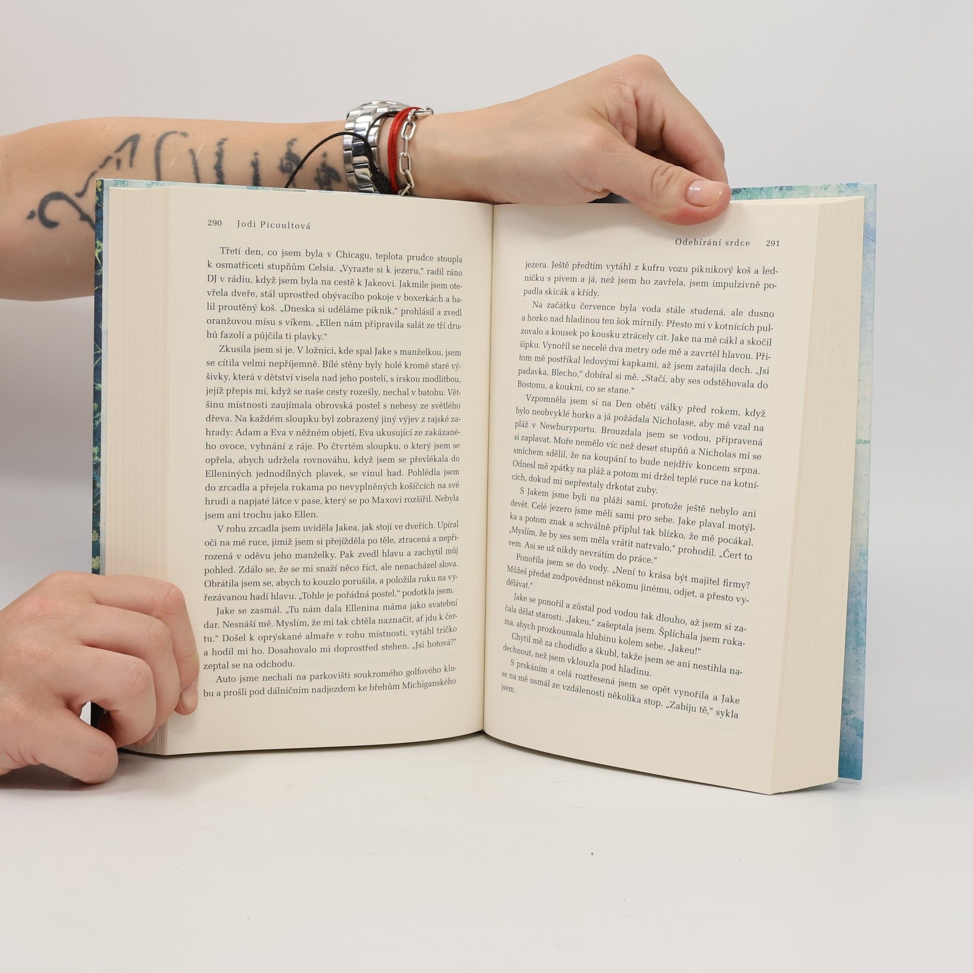 Jodi Picoult Odebírání srdce