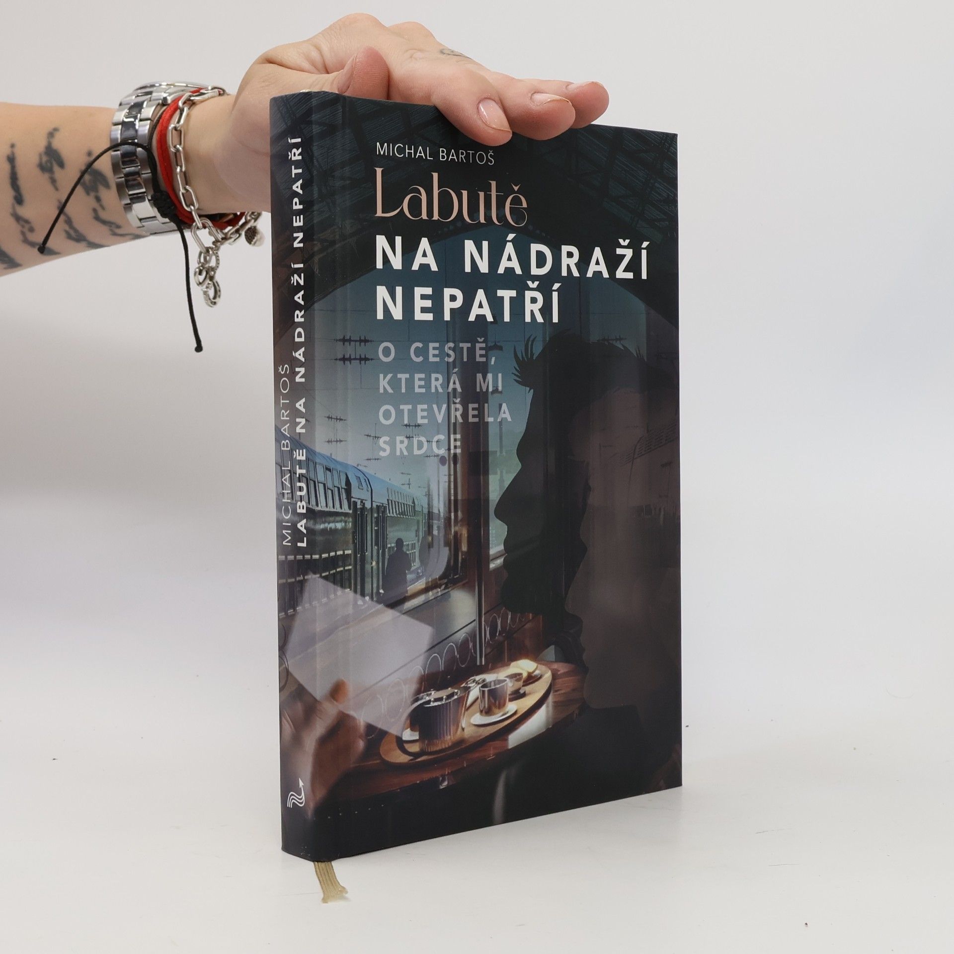 Labutě na nádraží nepatří