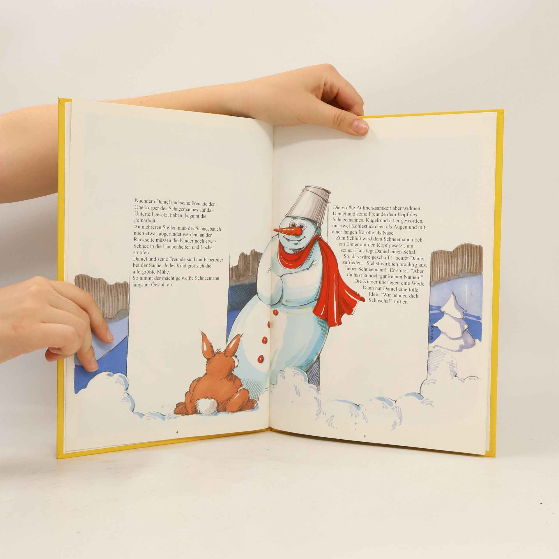 Libor Schaffer Mein Weihnachts-buch