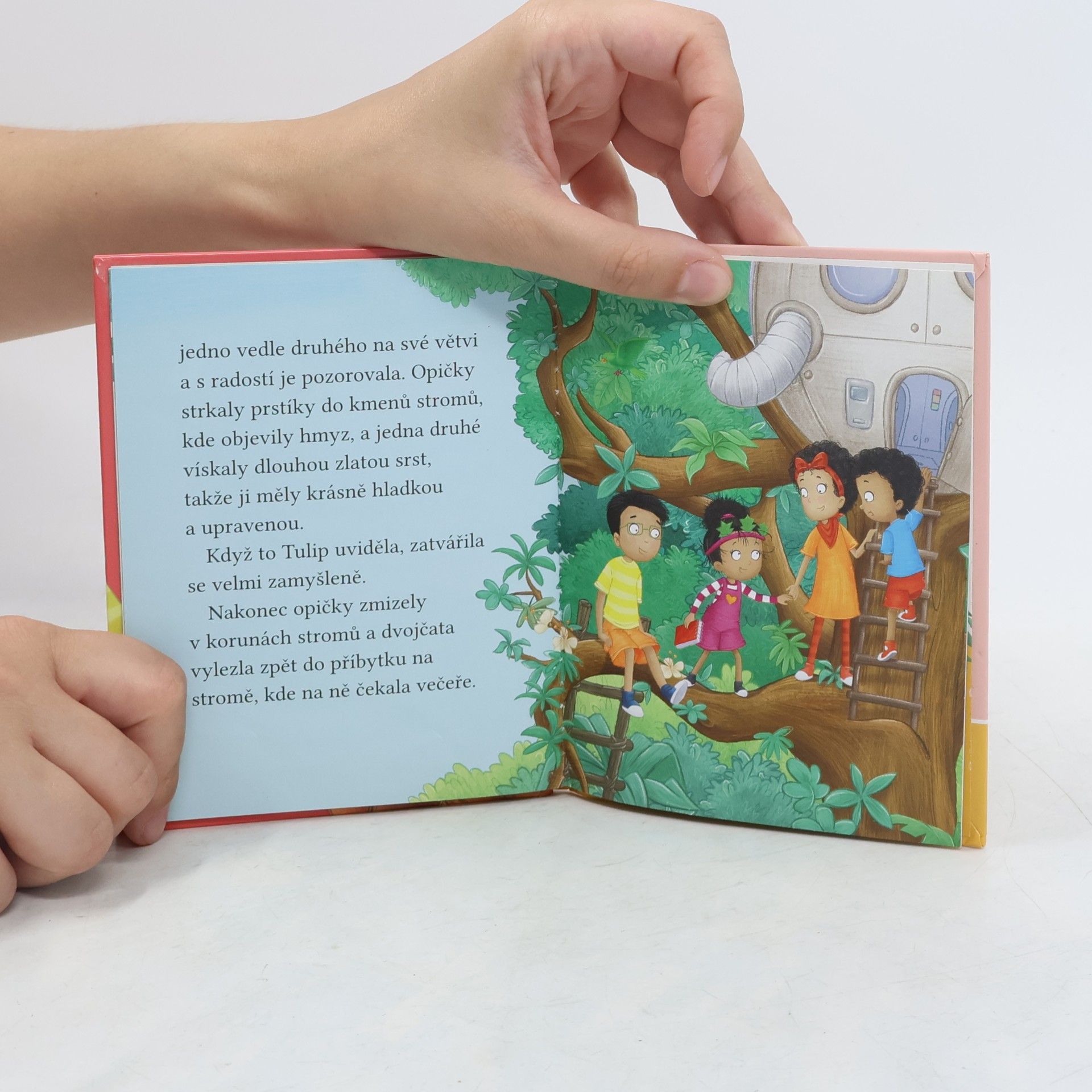 Cressida Cowell Stromovic dvojčata a jejich dobrodružství v divočině. Dvojčata se setkávají s opicí