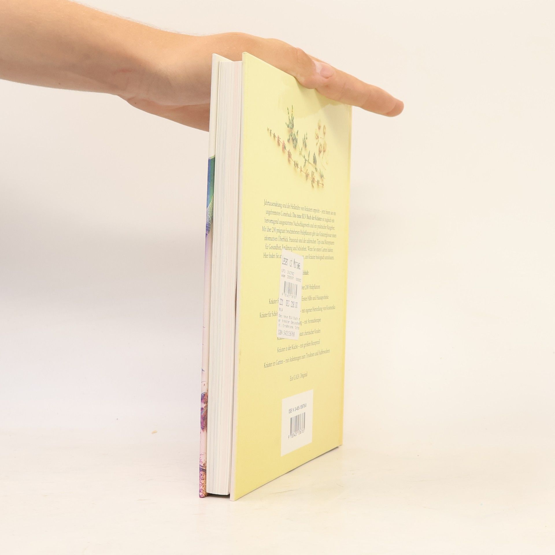 Richard Mabey Das neue BLV-Buch der Kräuter