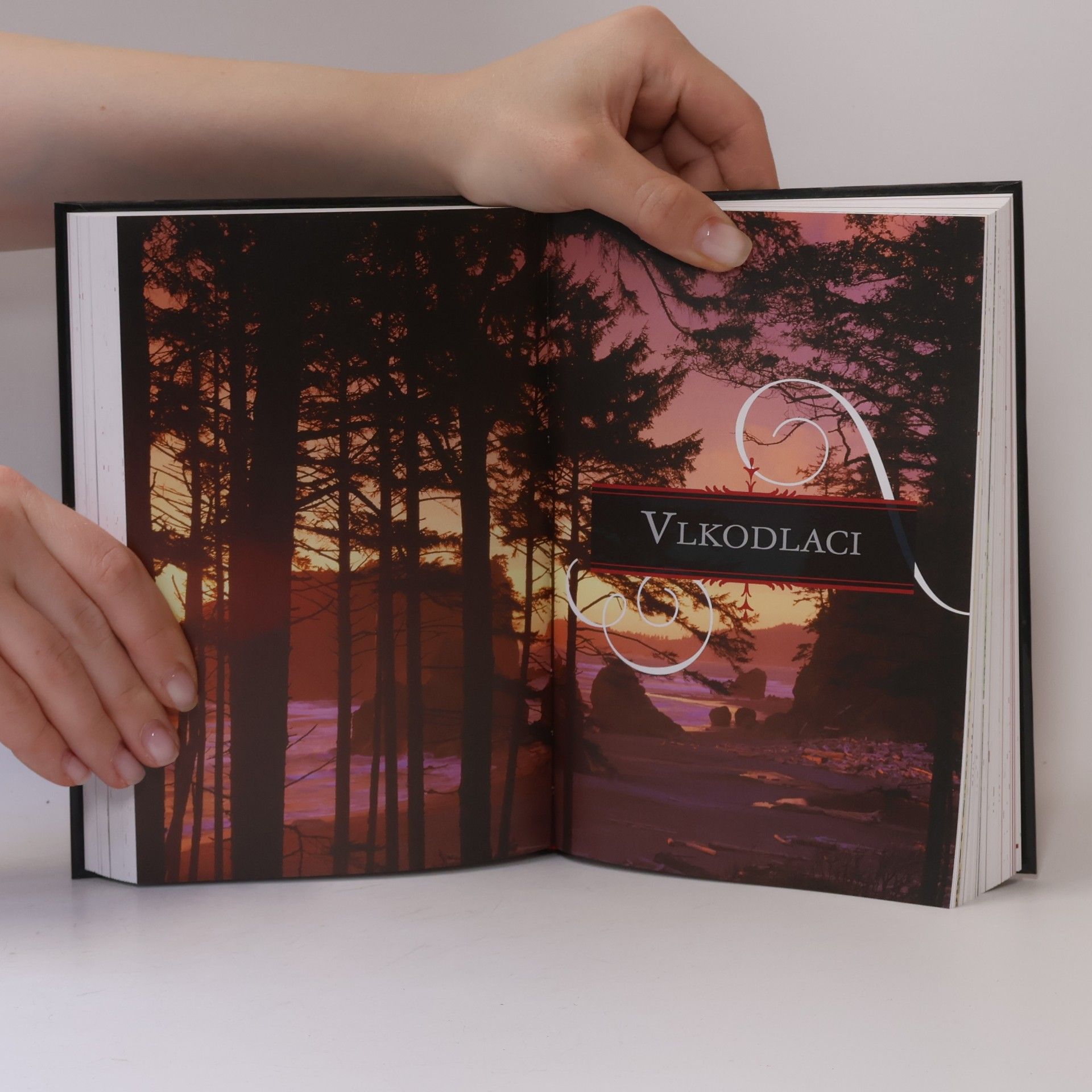 Stephenie Meyer Sága Stmívání: Oficiální ilustrovaný průvodce