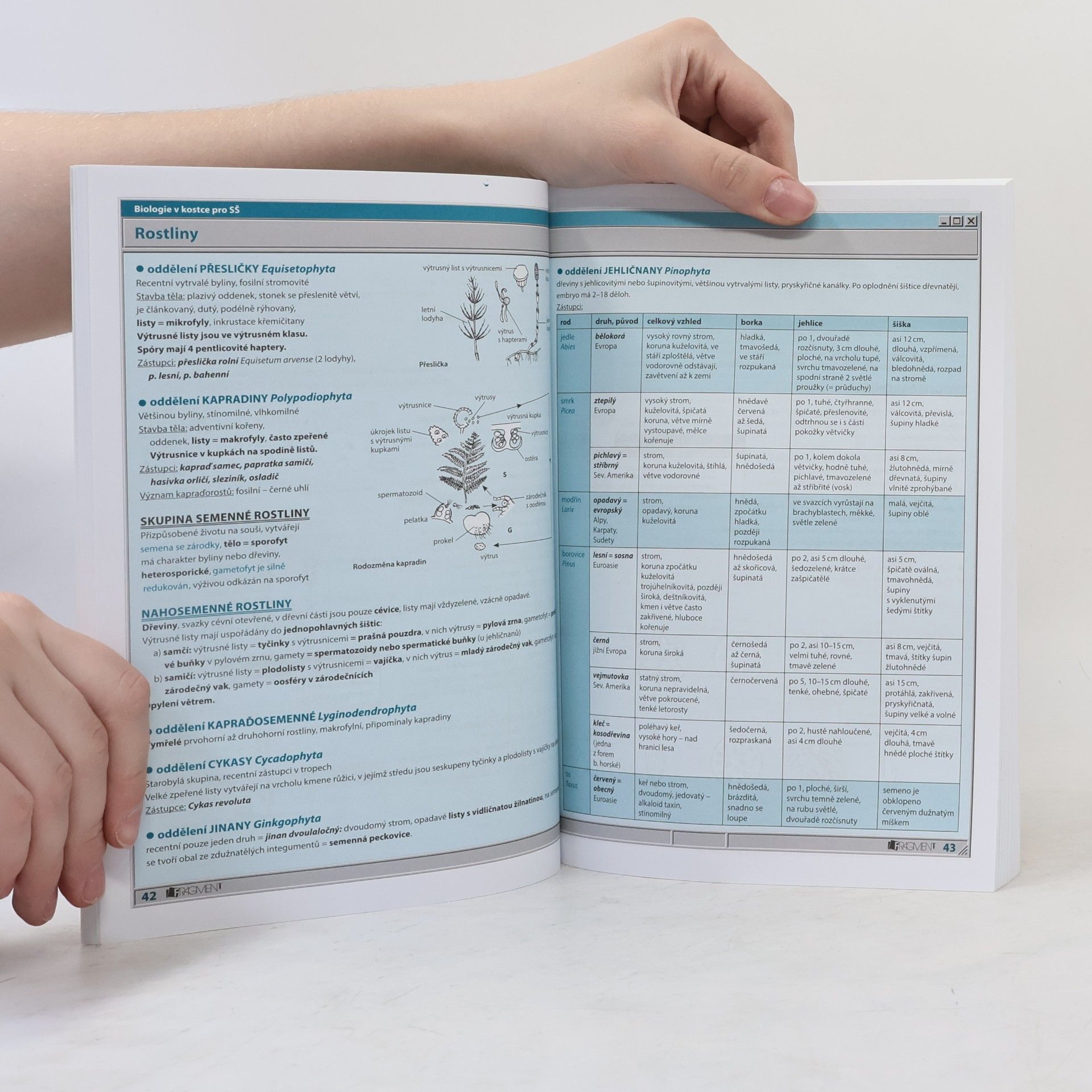 Hana Hančová Biologie v kostce : pro střední školy