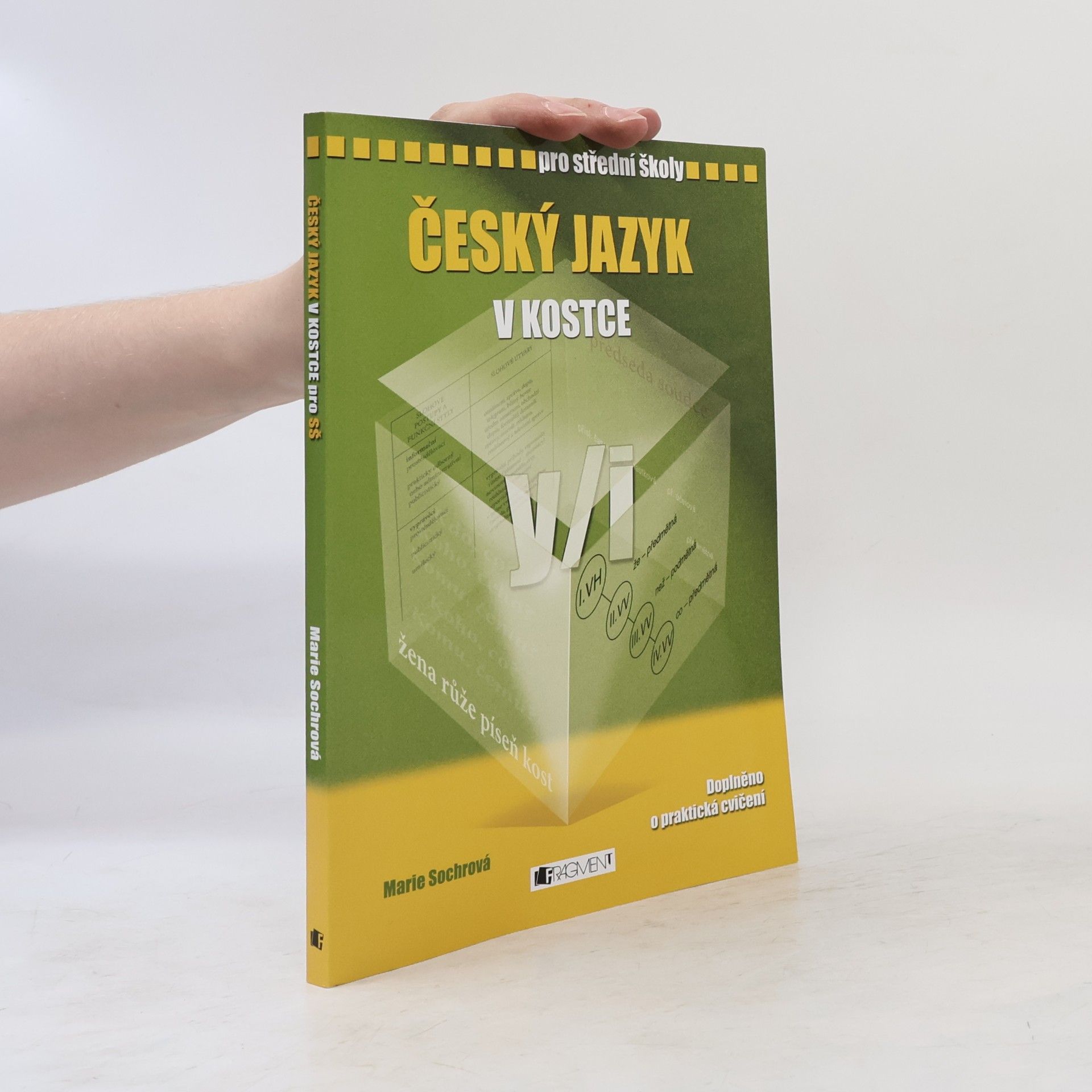 Marie Sochrová Český jazyk v kostce : pro střední školy