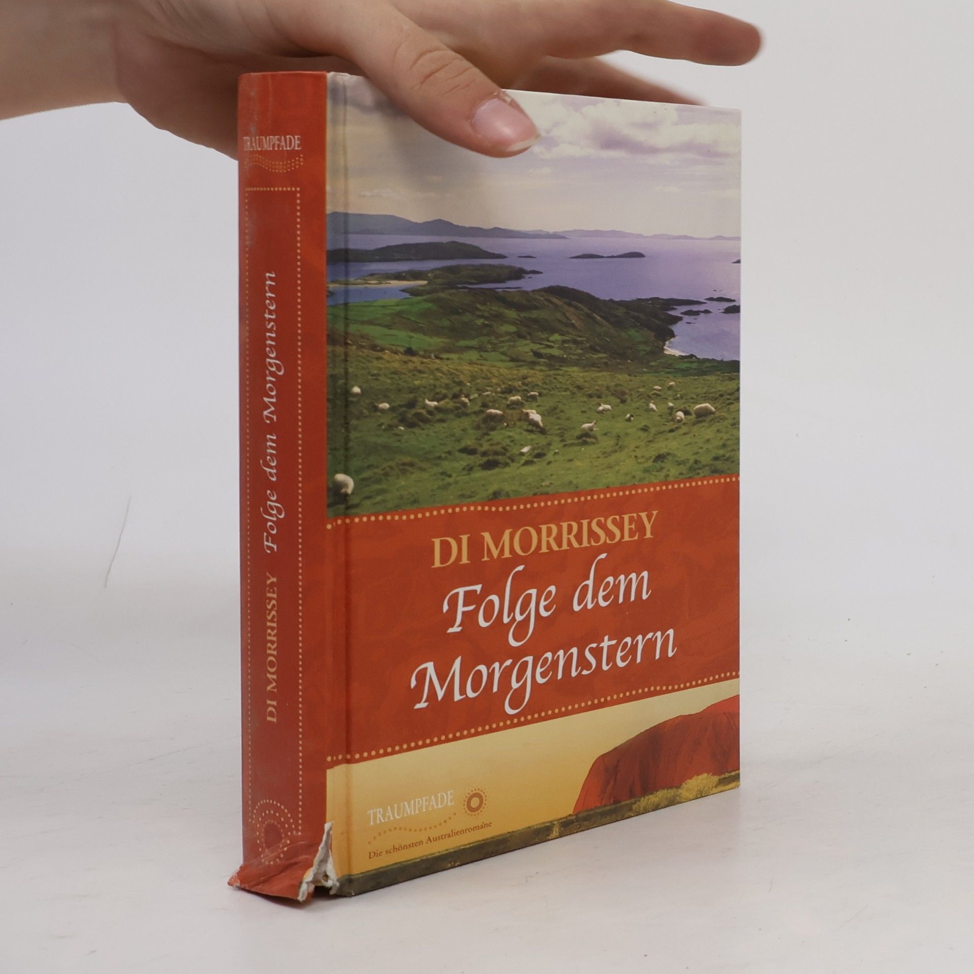 Di Morrissey Folge dem Morgenstern