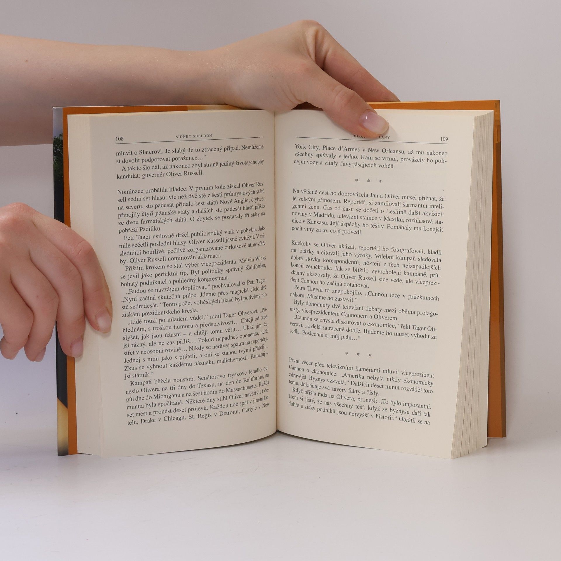 Sidney Sheldon Dokonalé plány