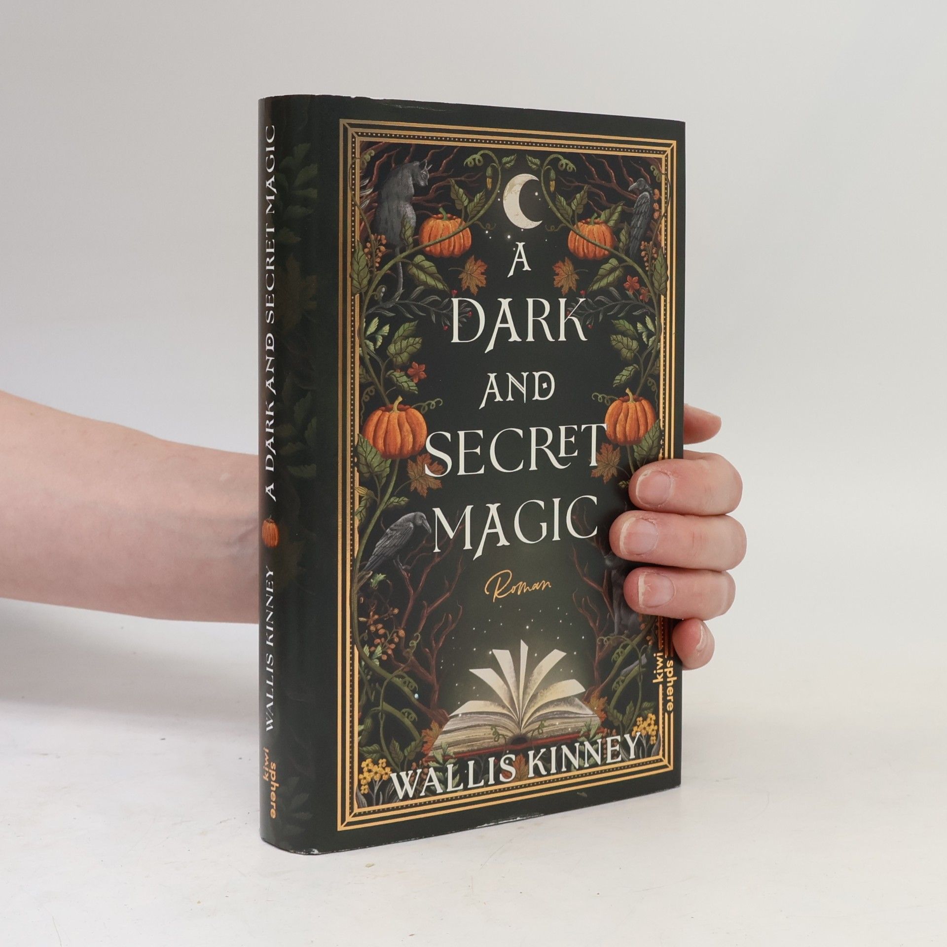 Wallis Kinney A Dark and Secret Magic