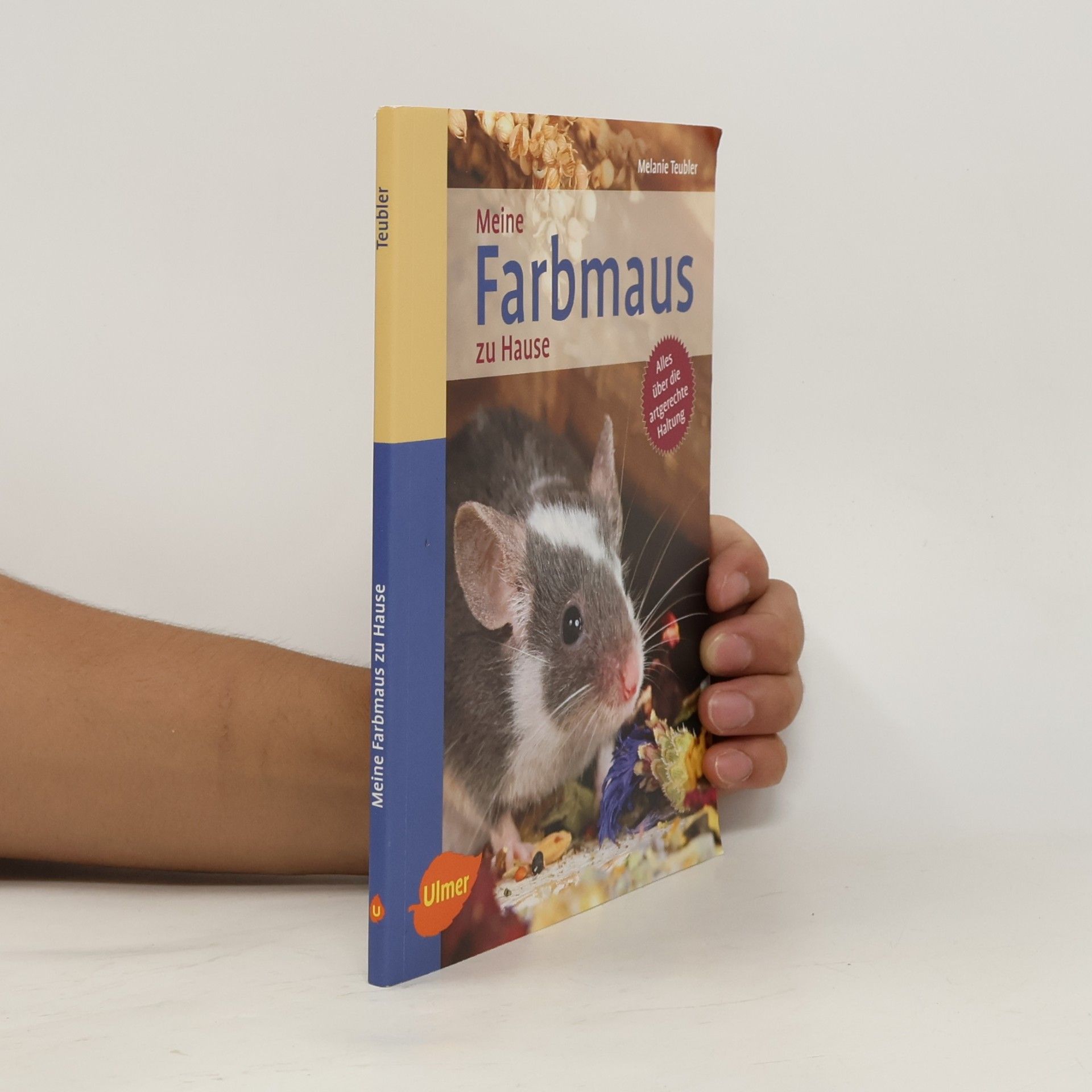 Melanie Teubler Meine Farbmaus zu Hause