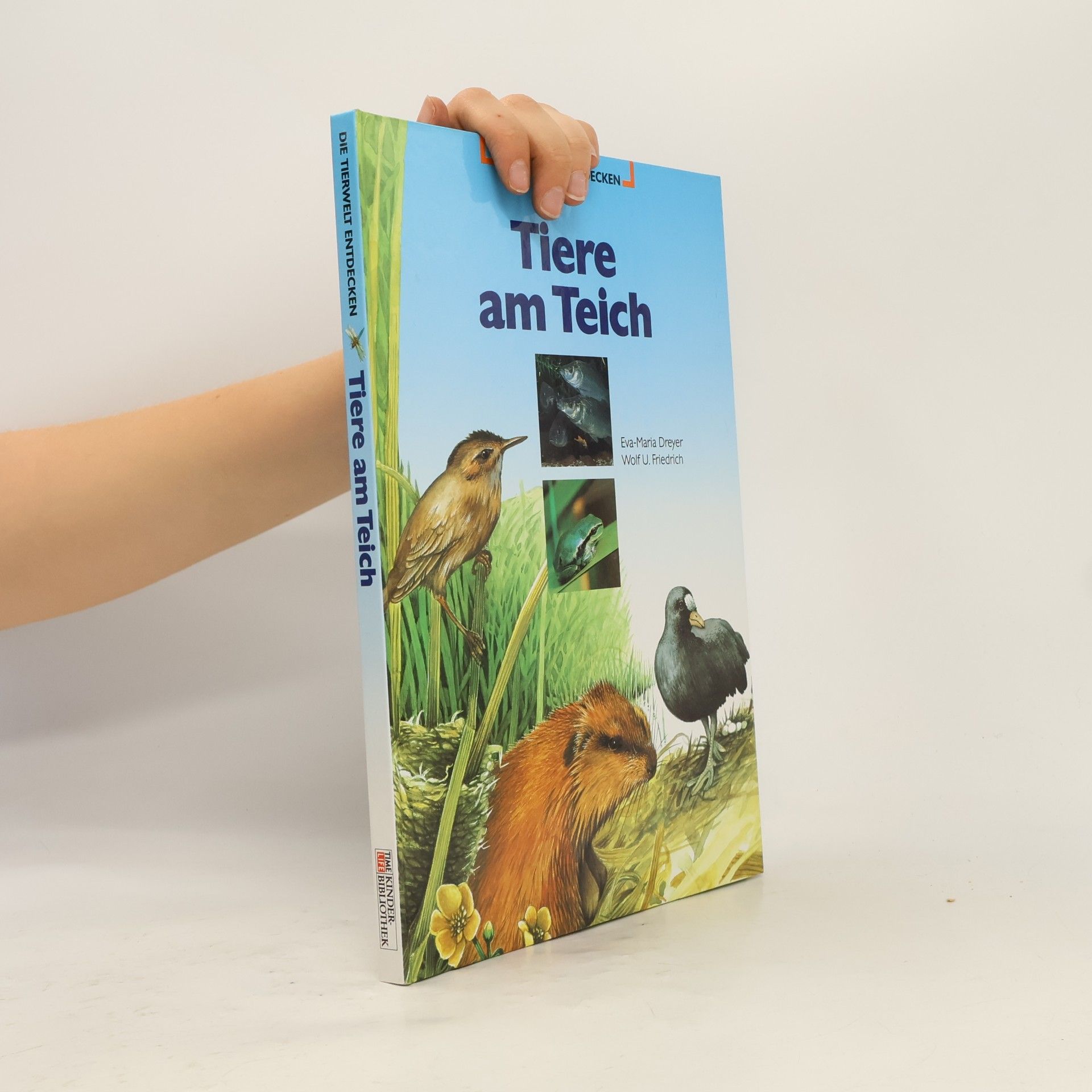 Eva-Maria Dreyer Tiere am Teich