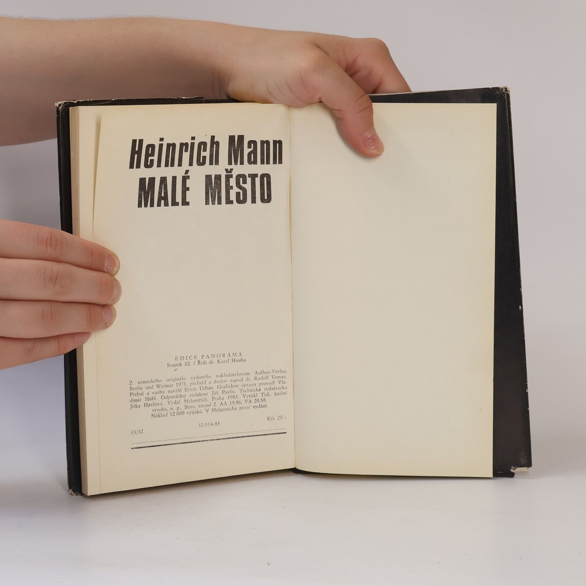 Heinrich Mann Malé město