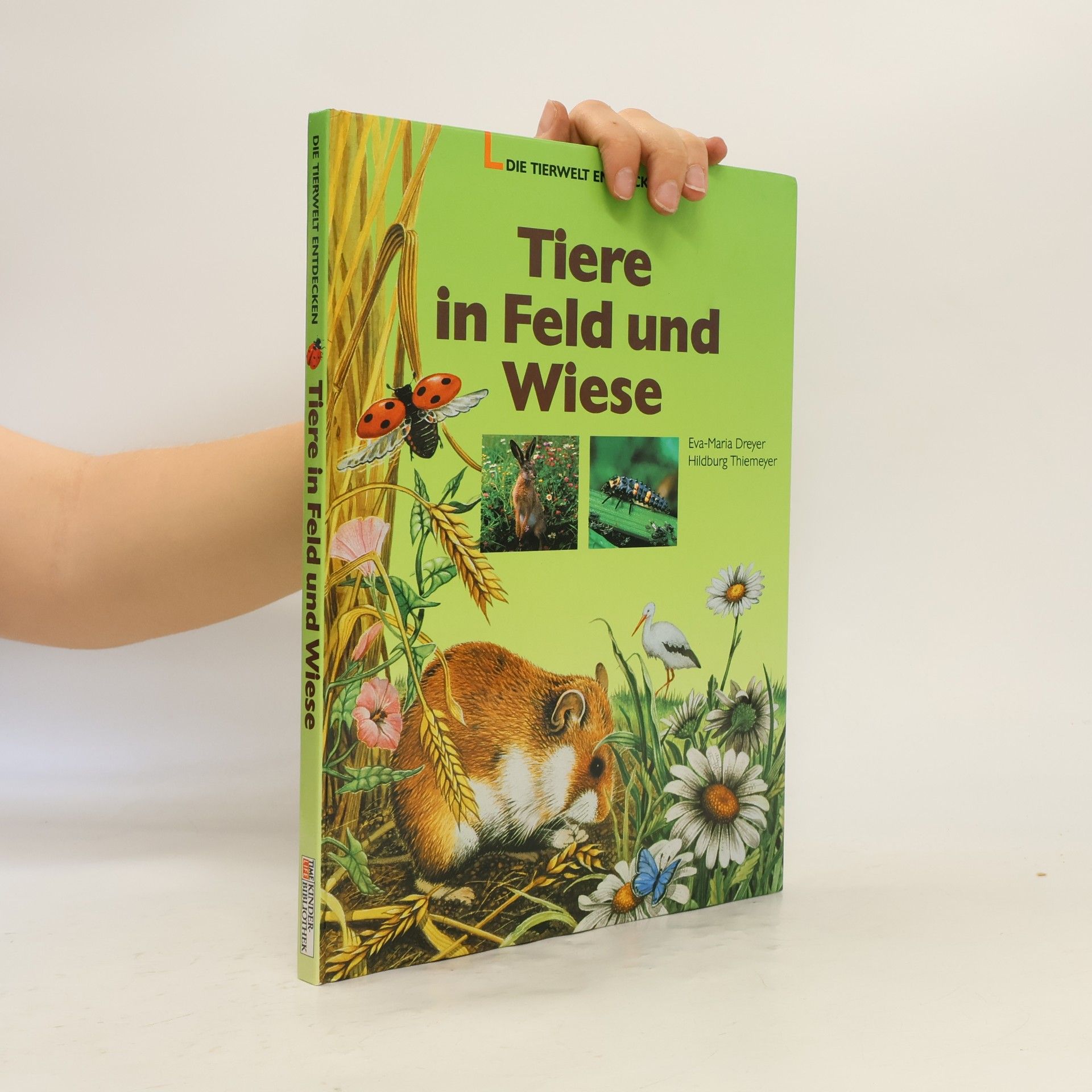 Eva-Maria Dreyer Tiere in Feld und Wiese