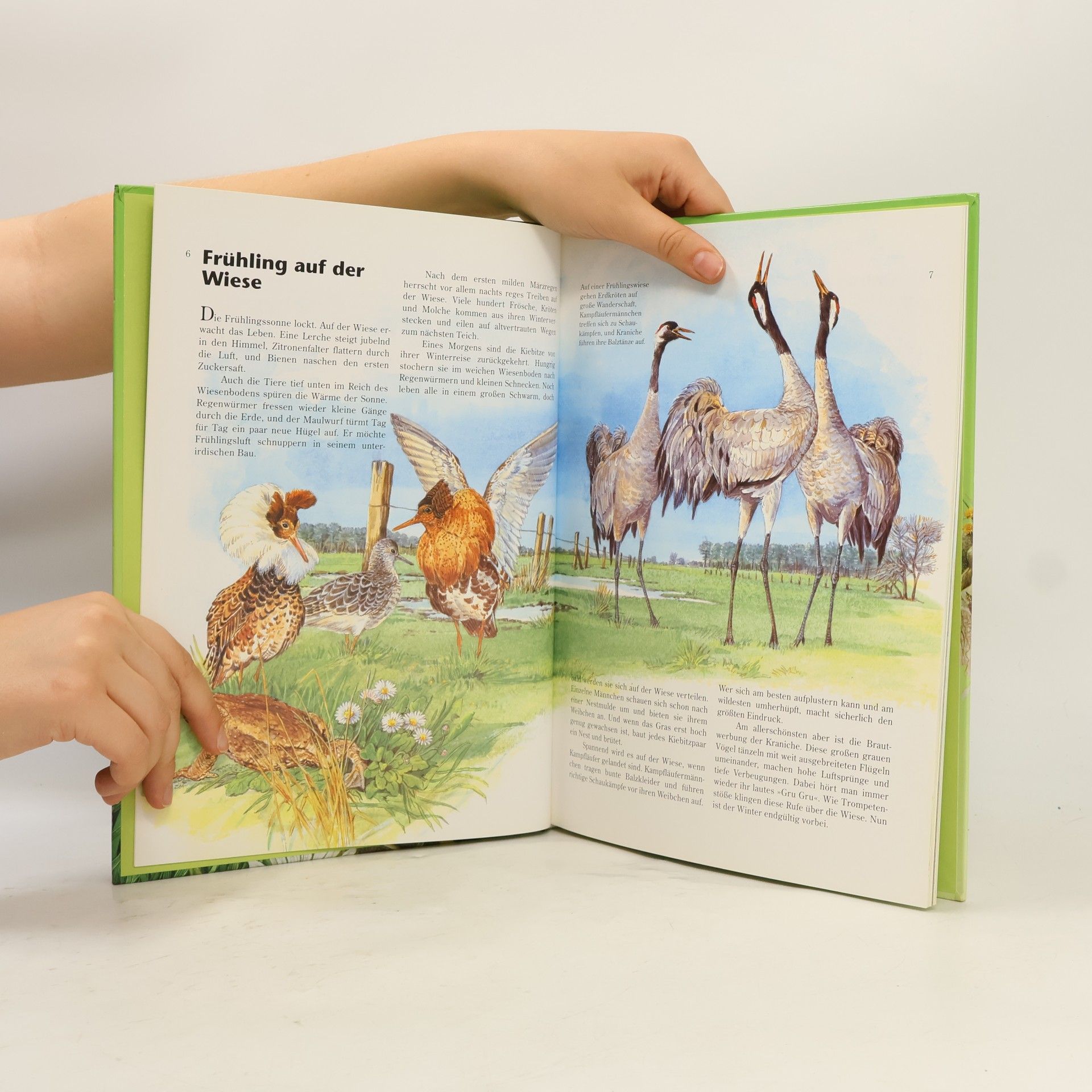 Eva-Maria Dreyer Tiere in Feld und Wiese