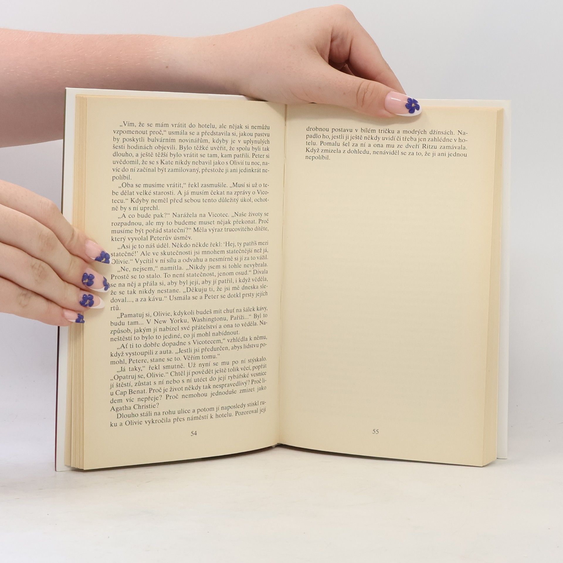 Danielle Steel Pět dní v Paříži