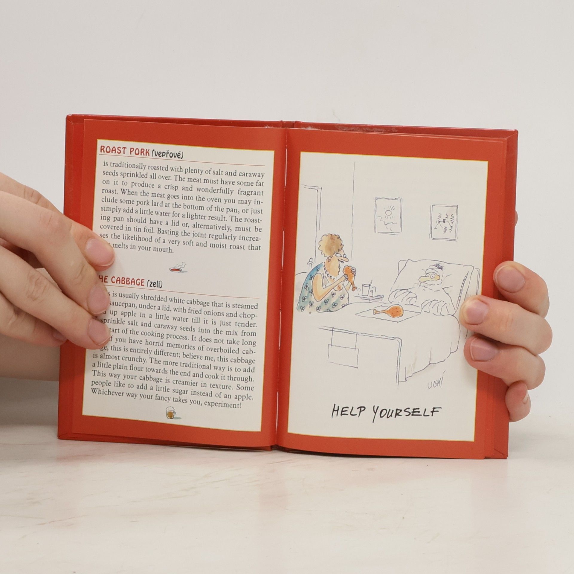Milada Williams The Littlest Czech Cookbook