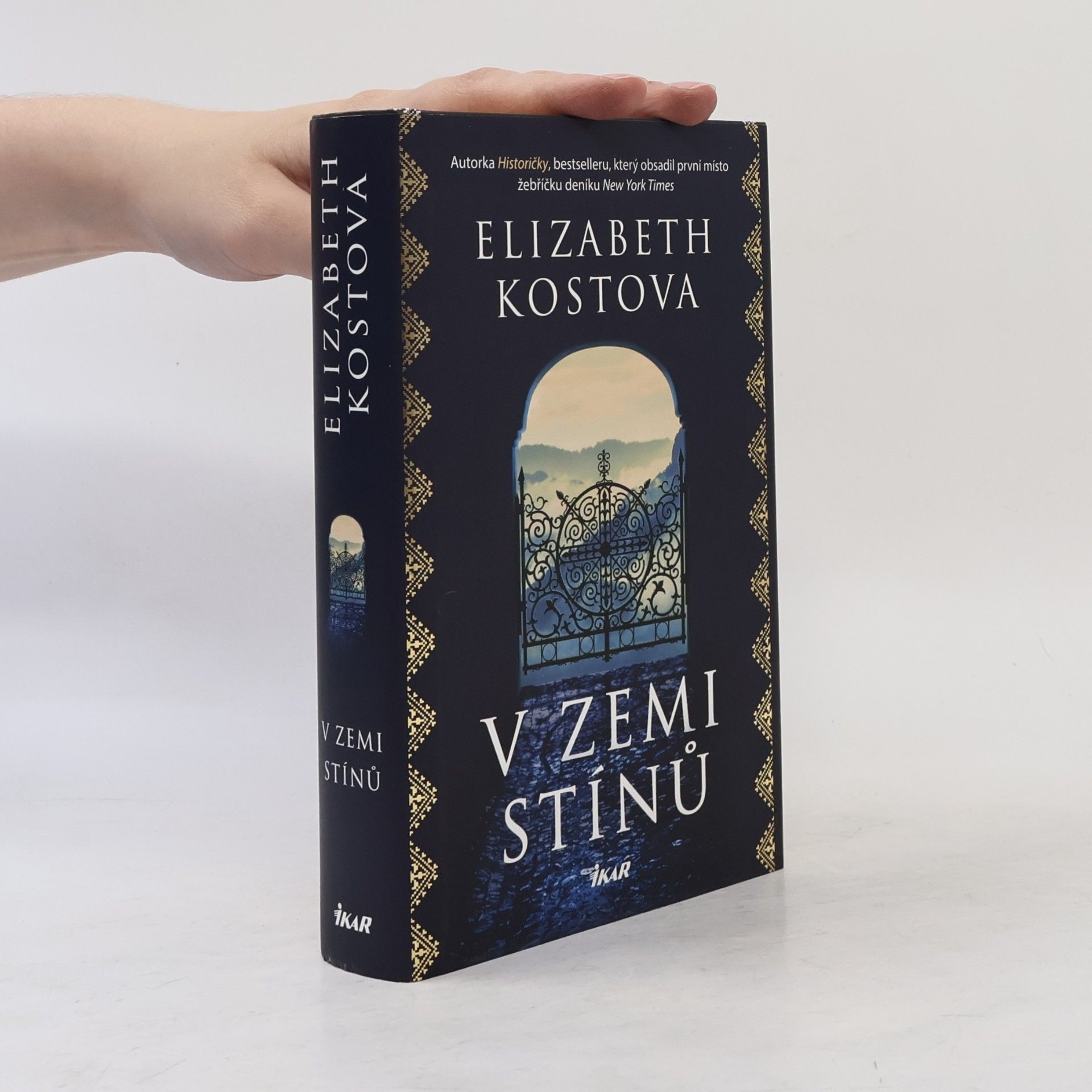 Elizabeth Kostova V zemi stínů
