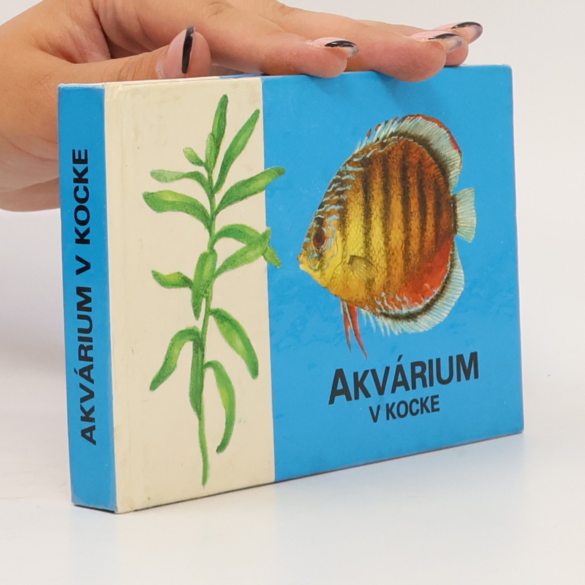 Akvárium v kocke