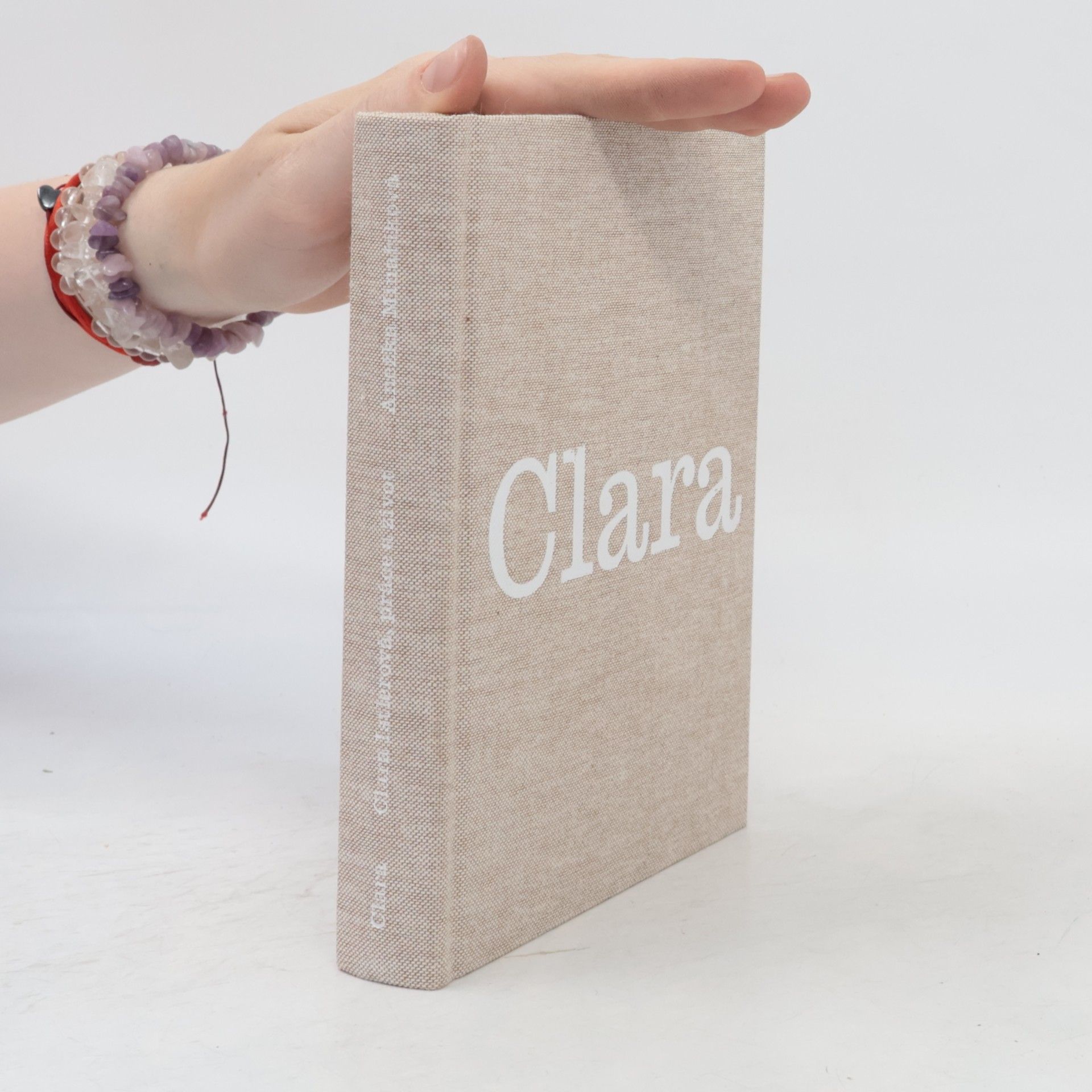 Anežka Minaříková Clara - Clara Istlerová, práce a život