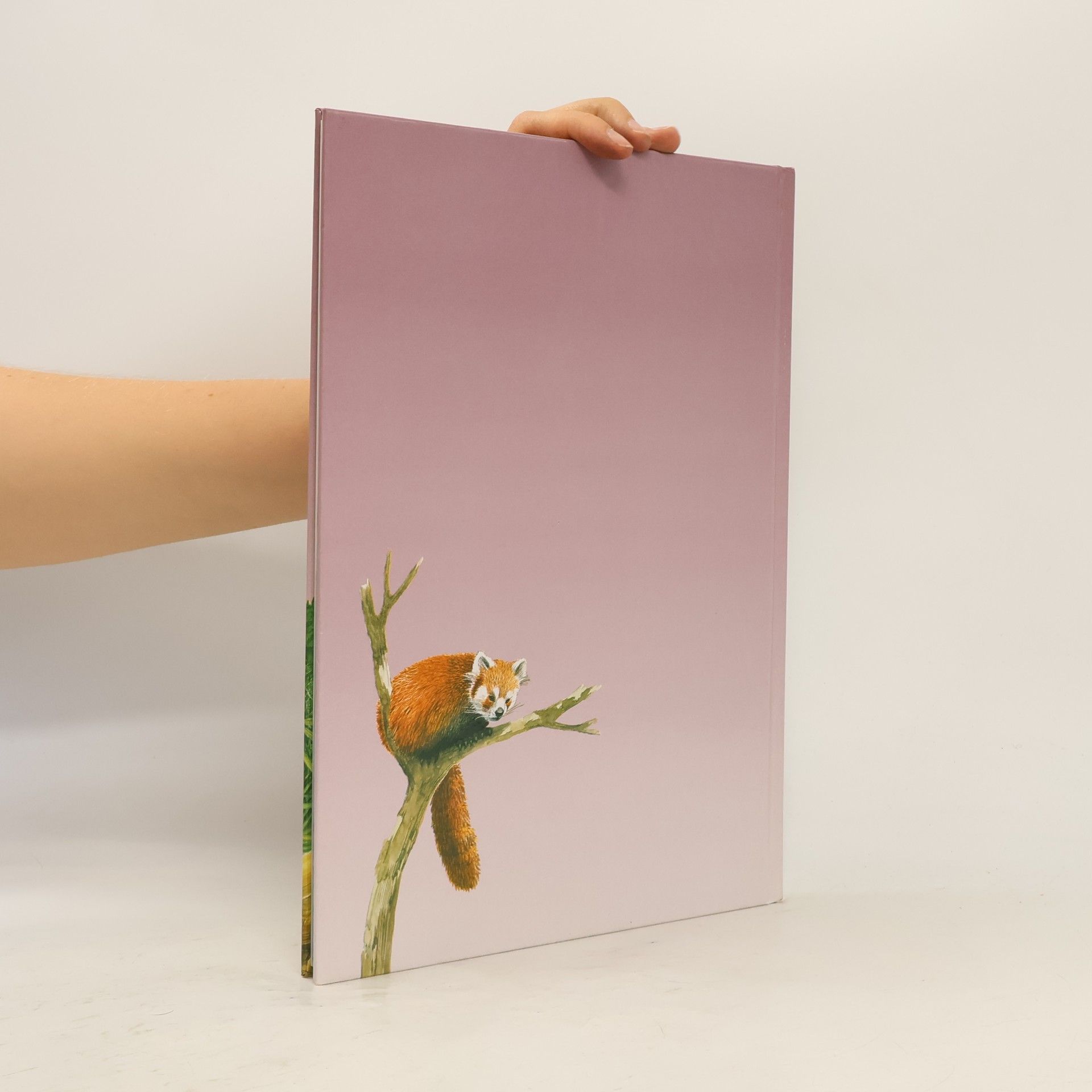 Collectif d'auteurs Bären