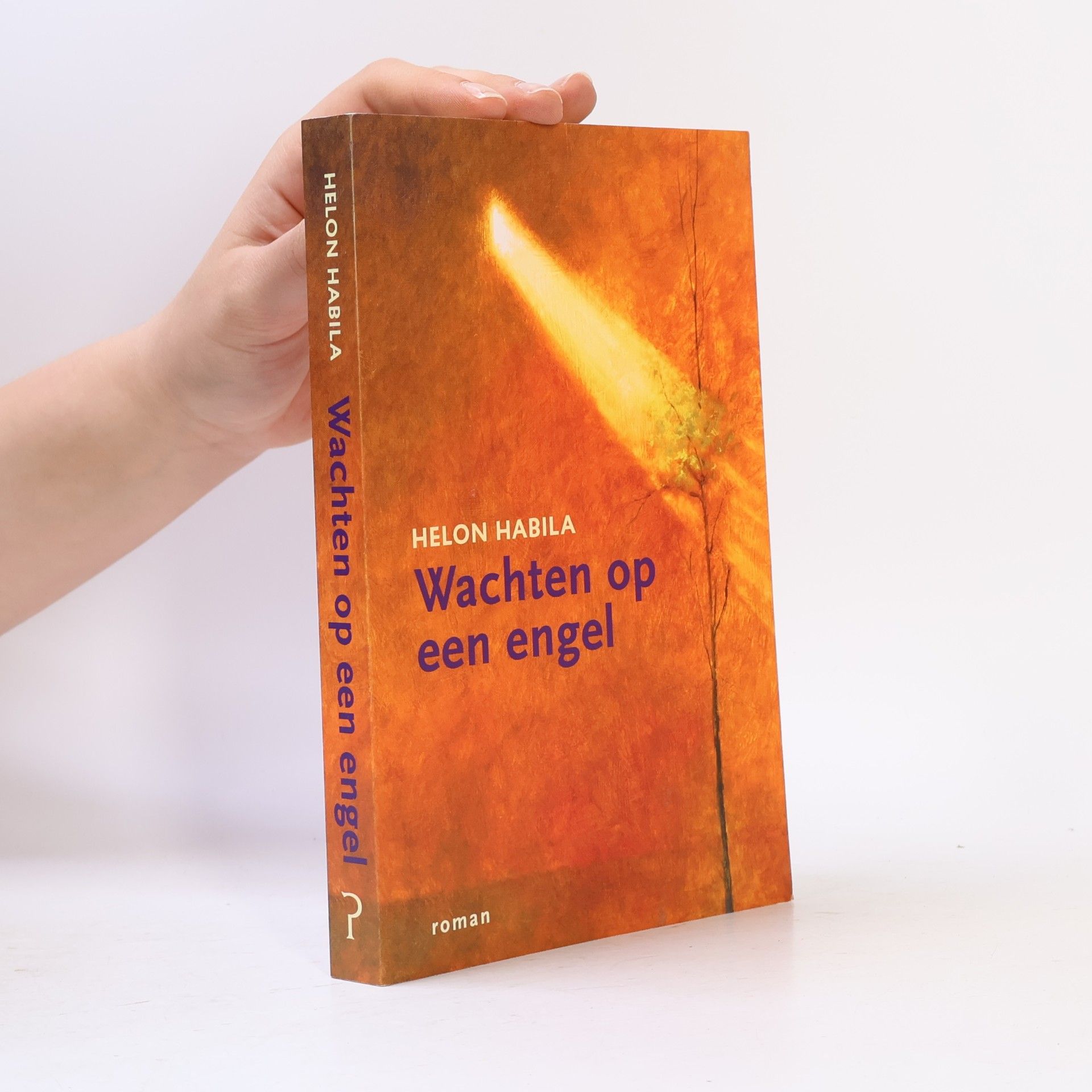 Sjaak de Jong Wachten op een engel