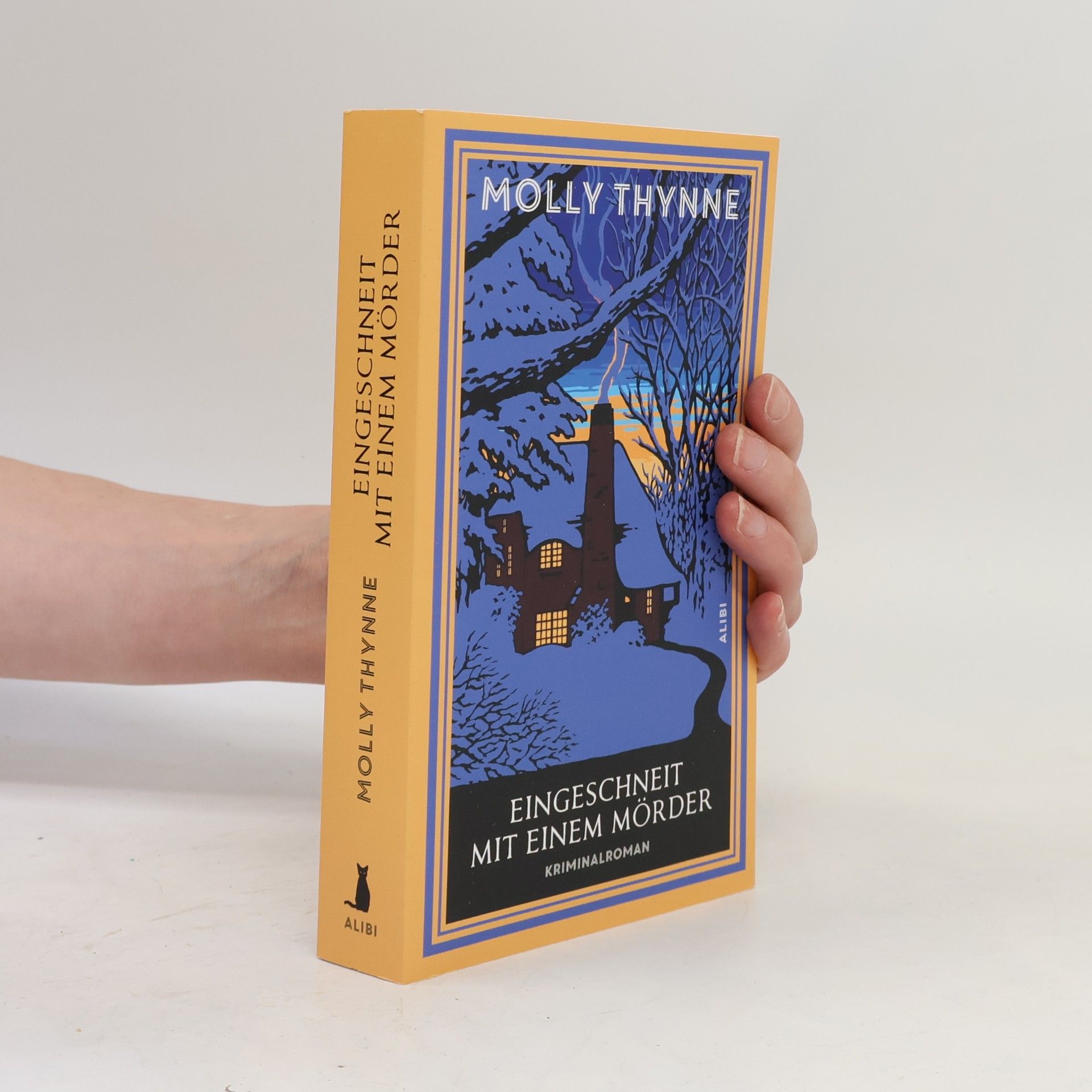 Molly Thynne Eingeschneit mit einem Mörder