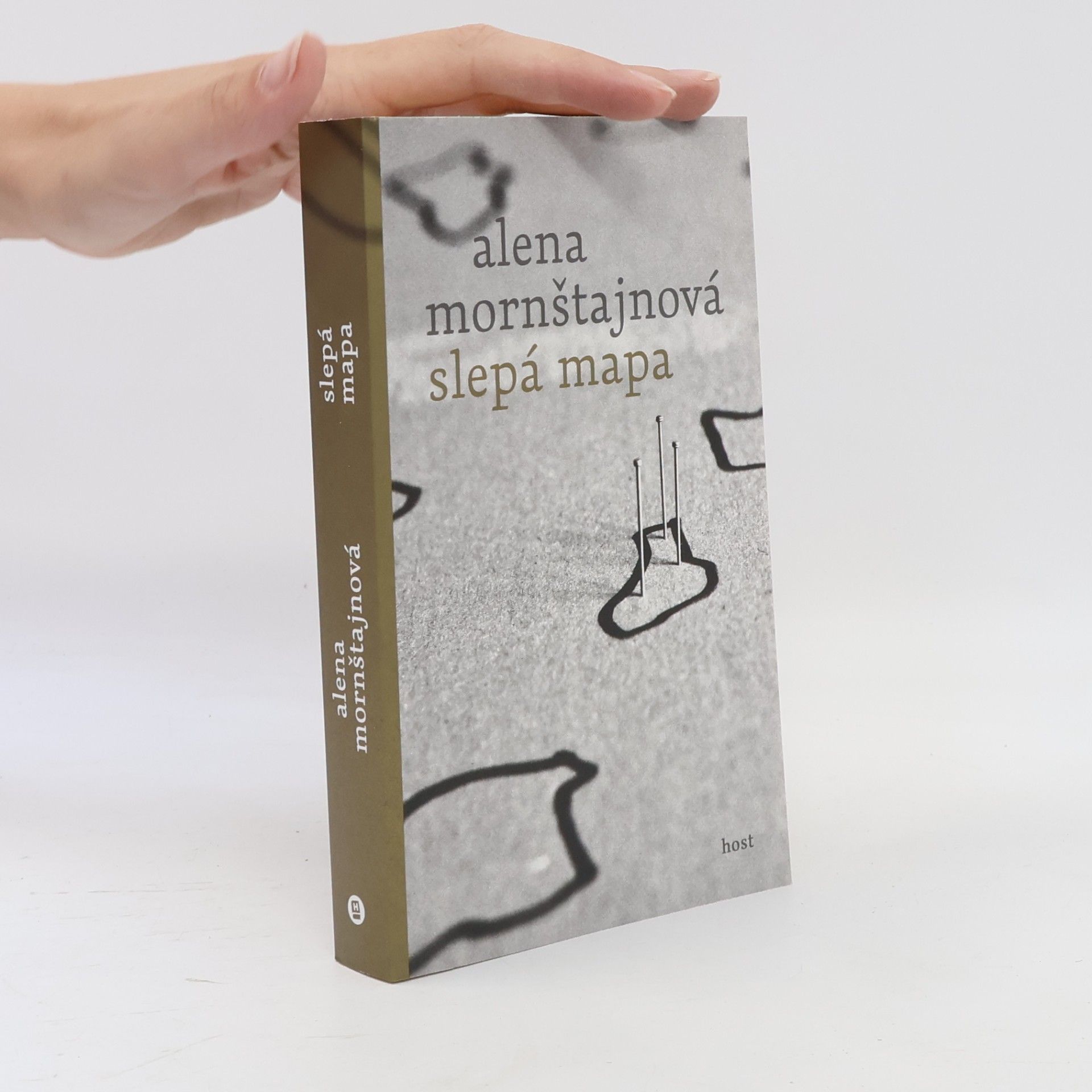 Alena Mornštajnová Slepá mapa
