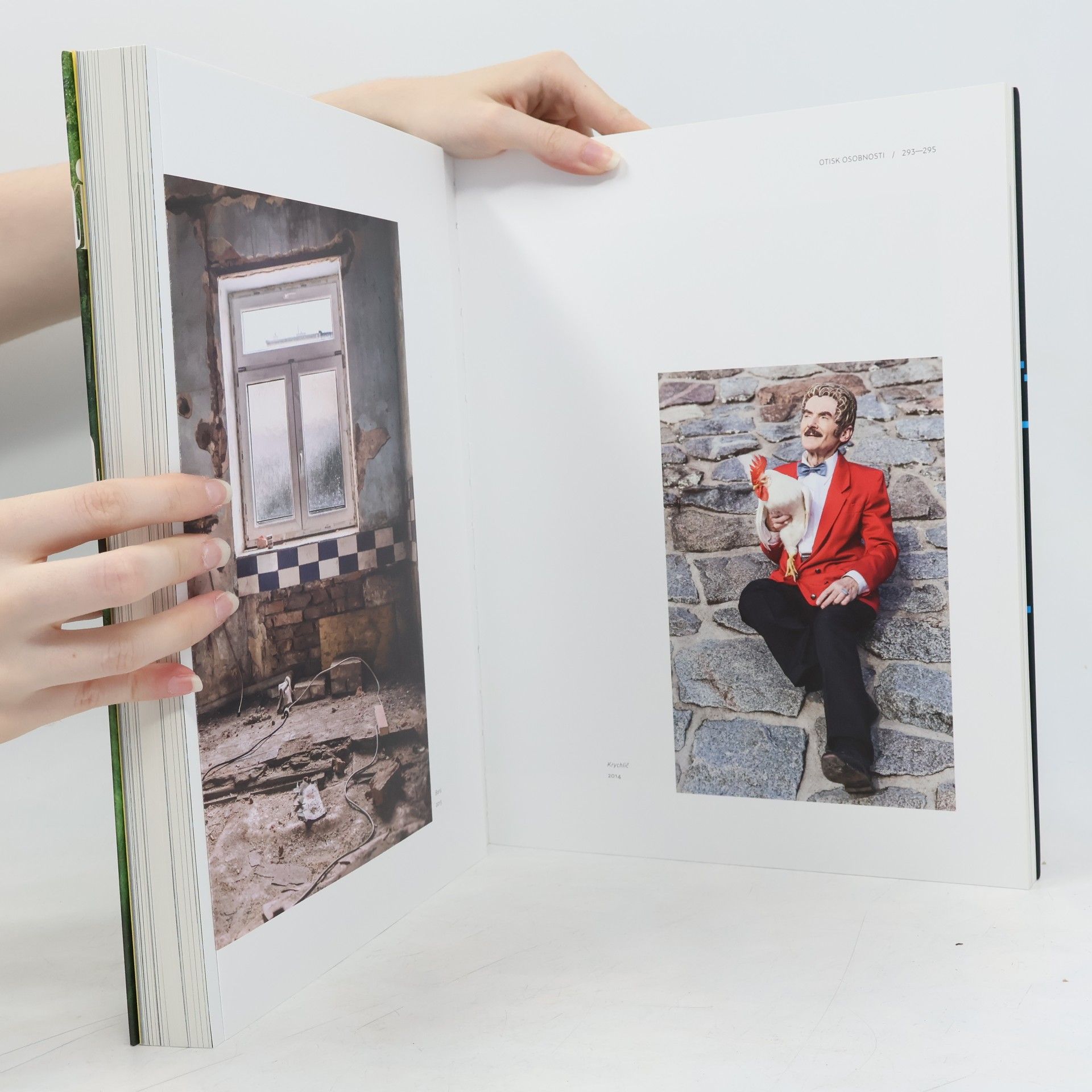 Miroslav Vojtěchovský Fotografie nového milénia