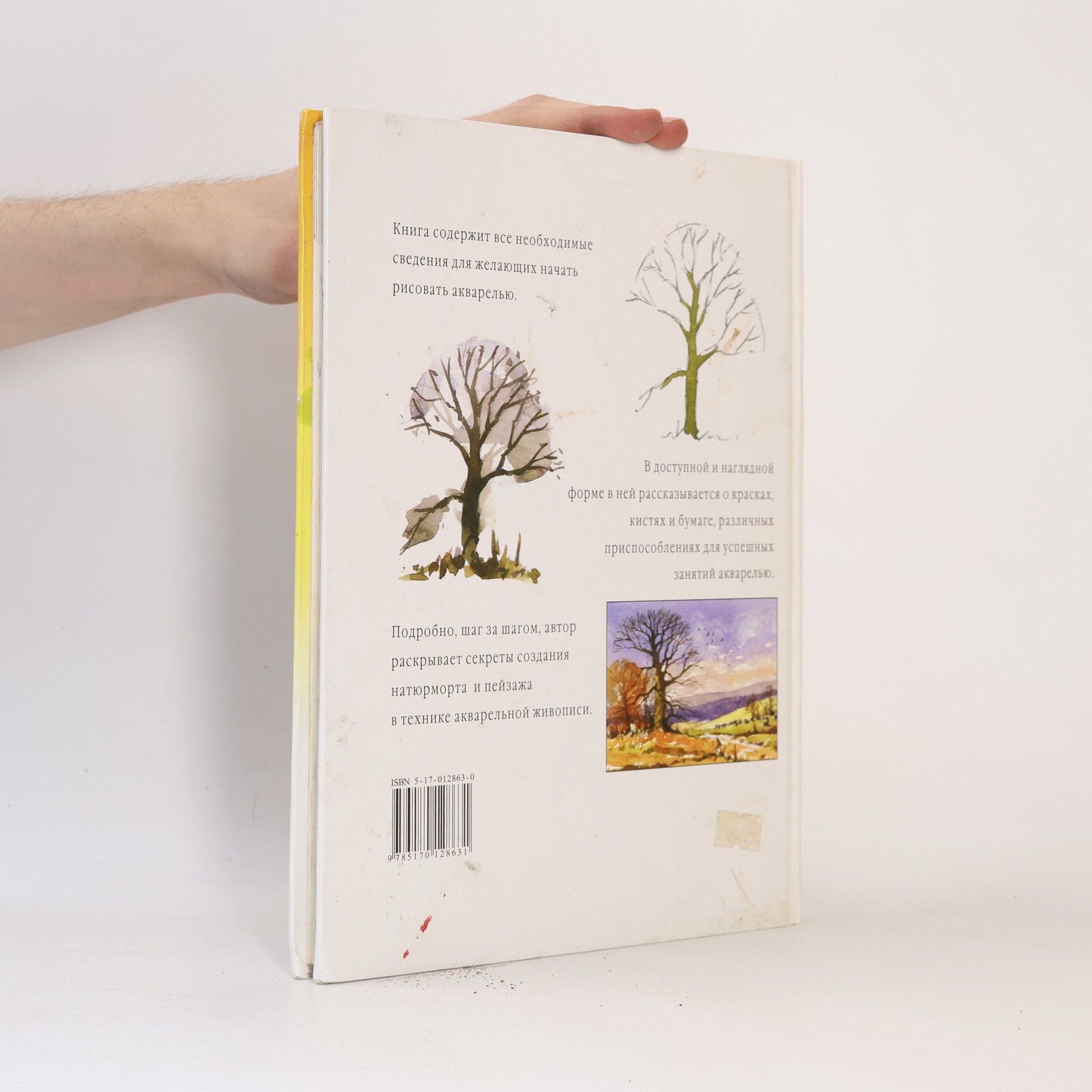 Alwyn Crawshaw Как рисовать акварель