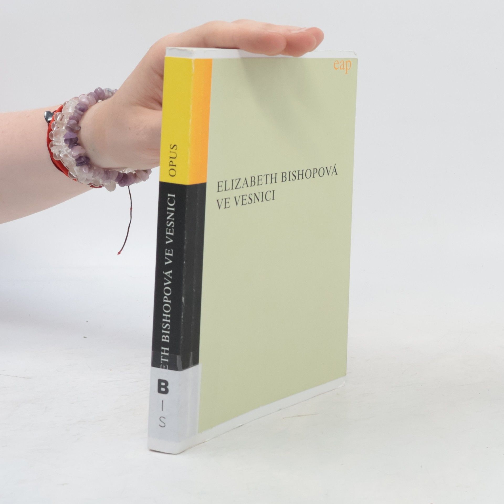 Elizabeth Bishop Ve vesnici: A jiné prózy