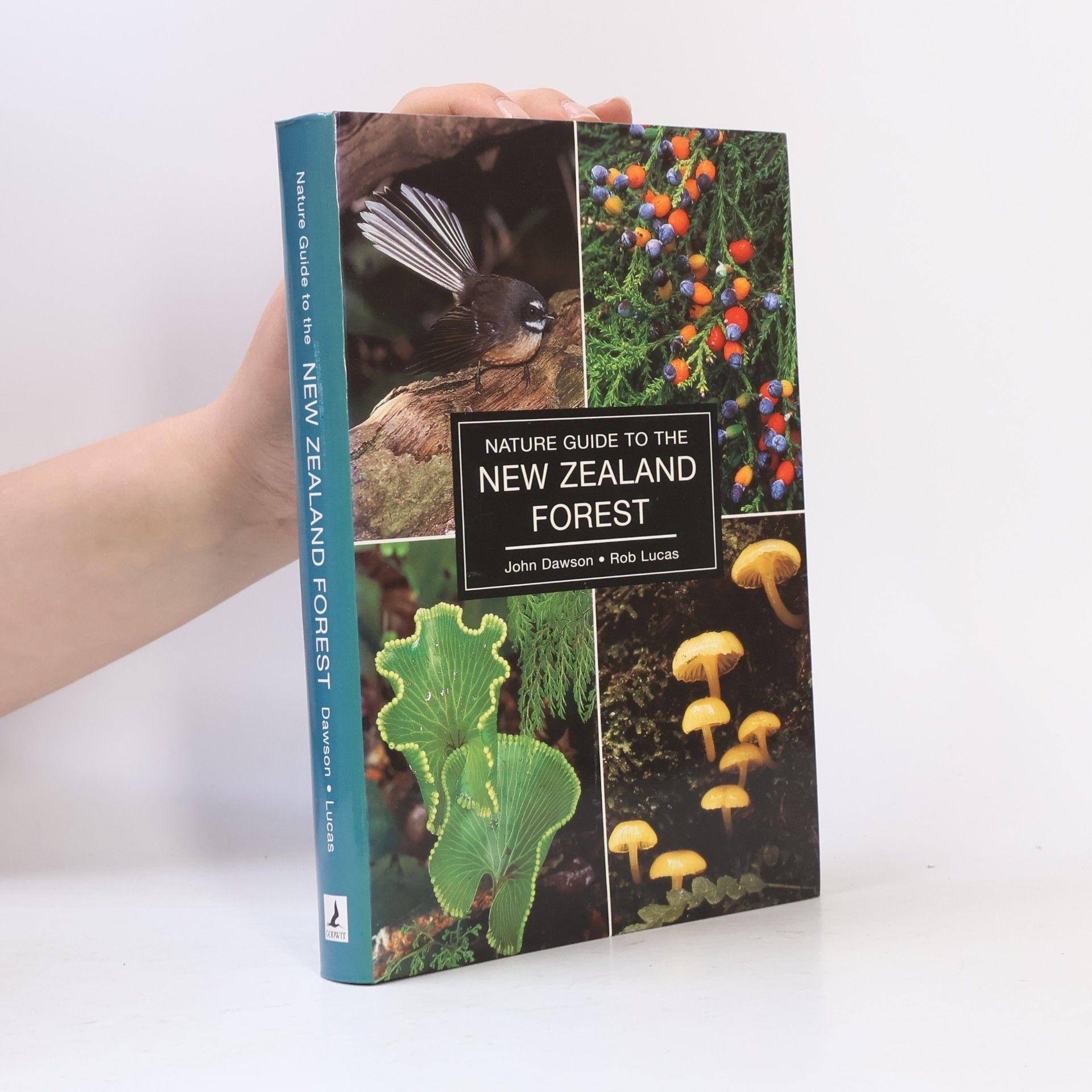 Rob Lucas Nature Guide to the New Zealand Forest