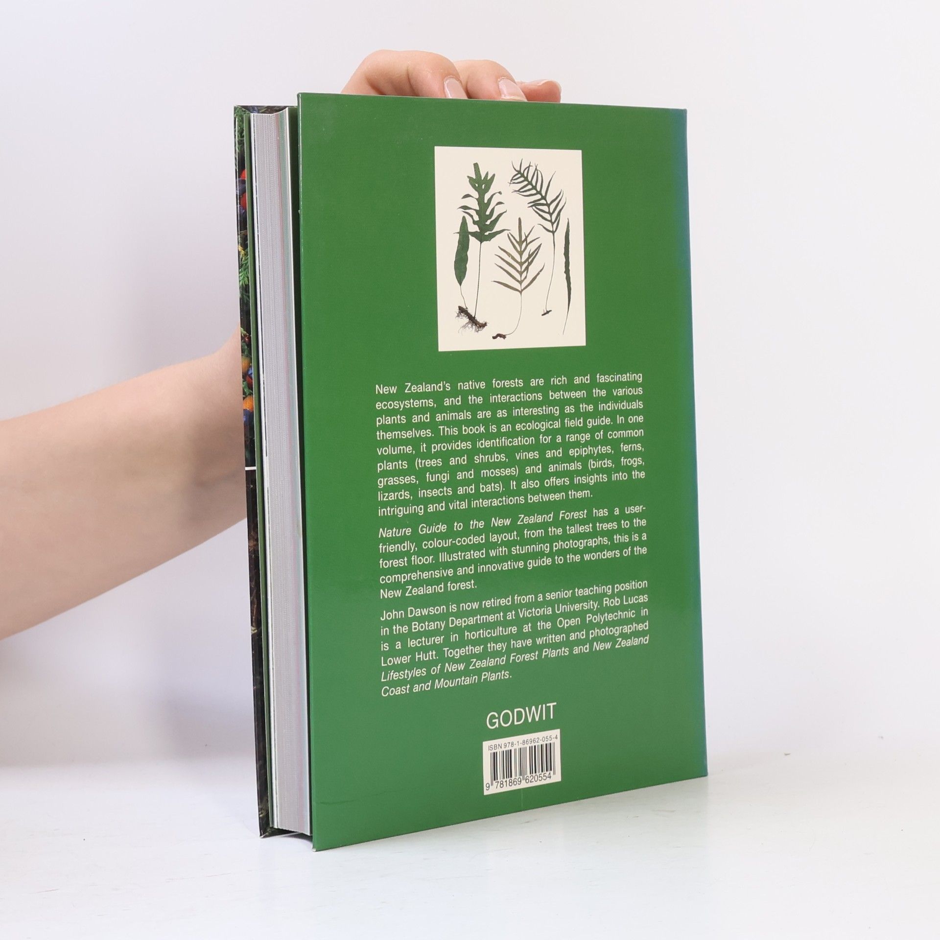 John Dawson Nature Guide to the New Zealand Forest