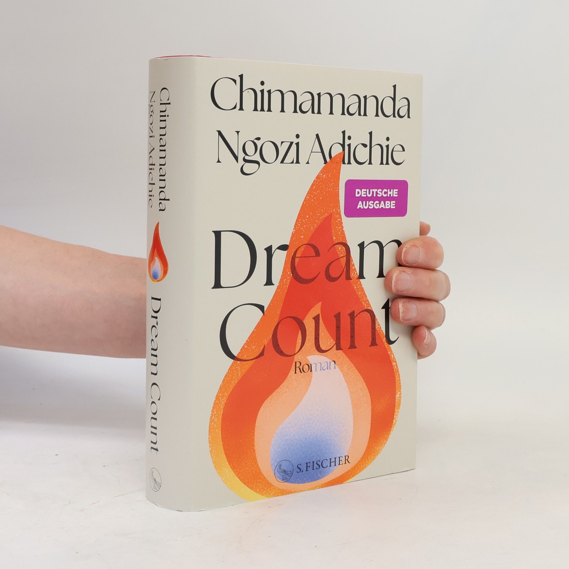 Chimamanda Ngozi Adichie Dream Count