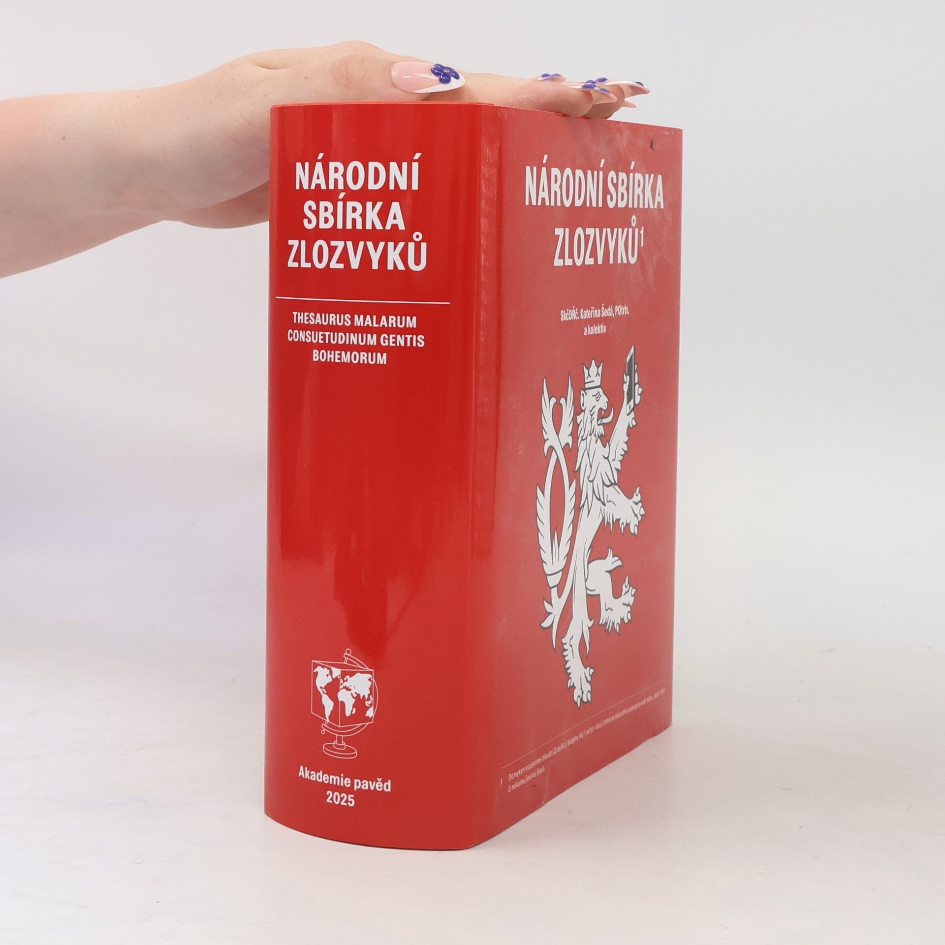 Kateřina Šedá Národní sbírka zlozvyků