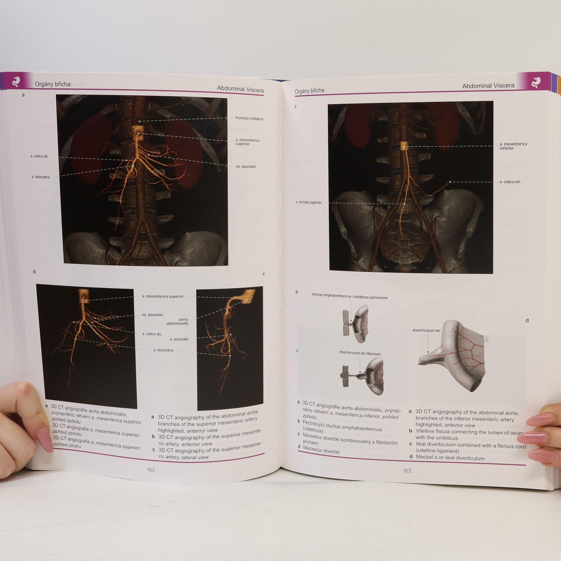 Ondřej Naňka Atlas anatomie člověka II. - Hlava a krk, vnitřní orgány, neuroanatomie