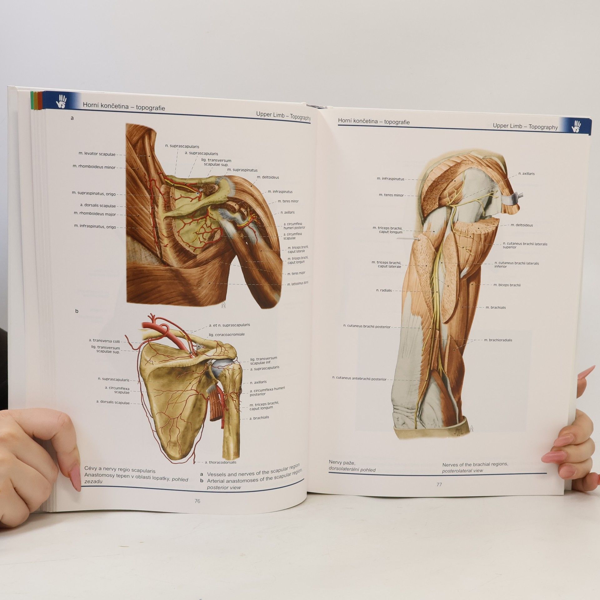 Miloš Grim Atlas anatomie člověka. Atlas of human anatomy