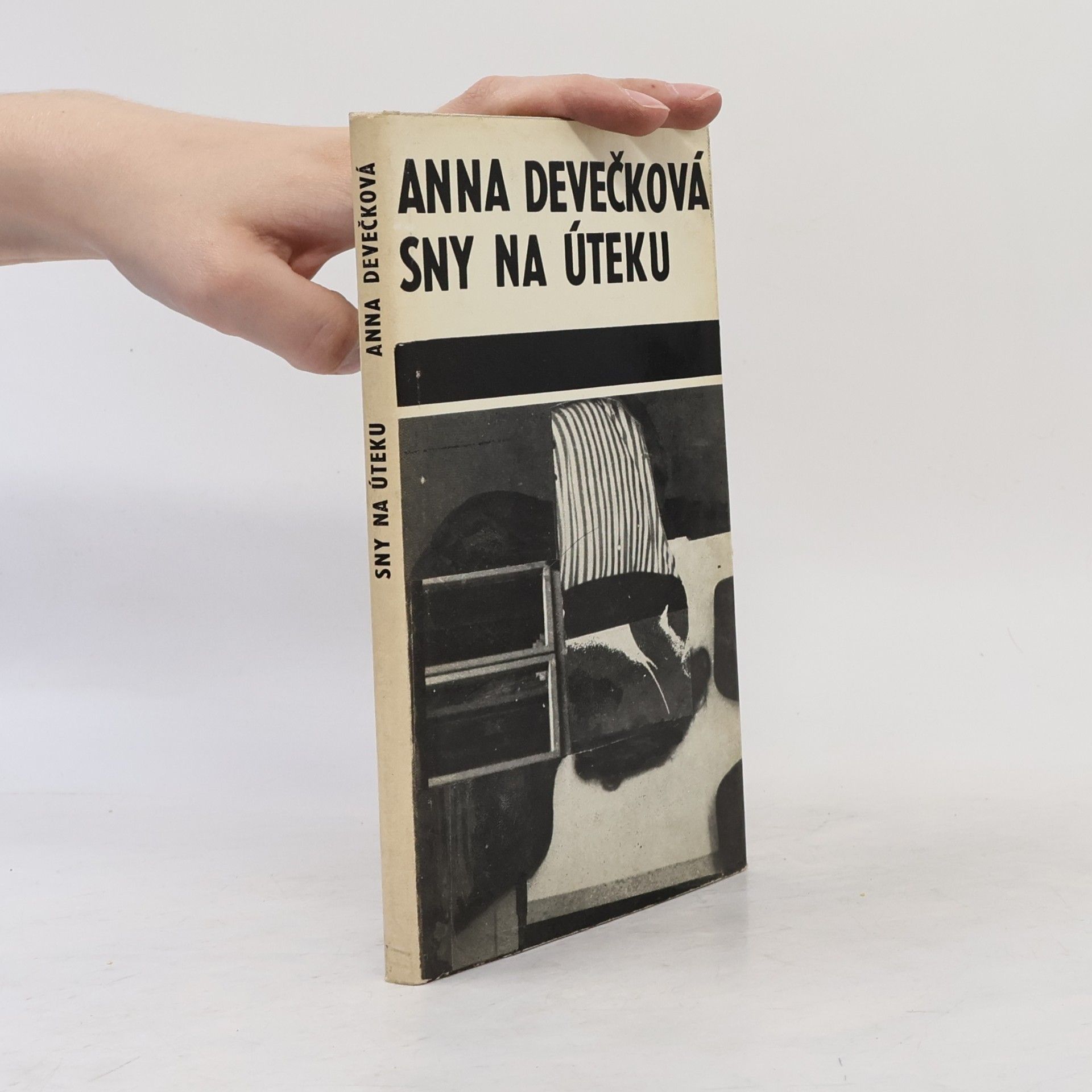 Anna Devečková Sny na úteku