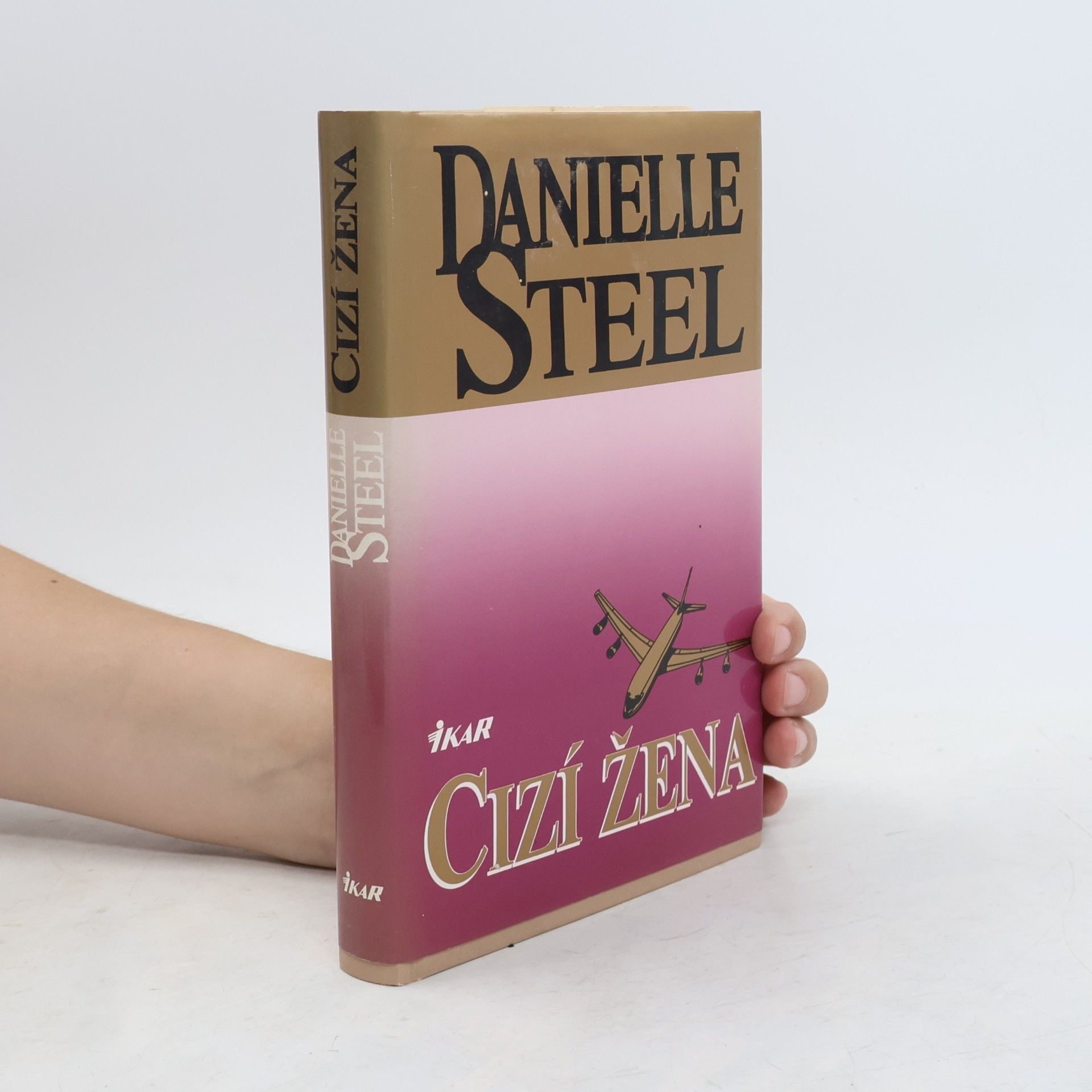 Danielle Steel Cizí žena