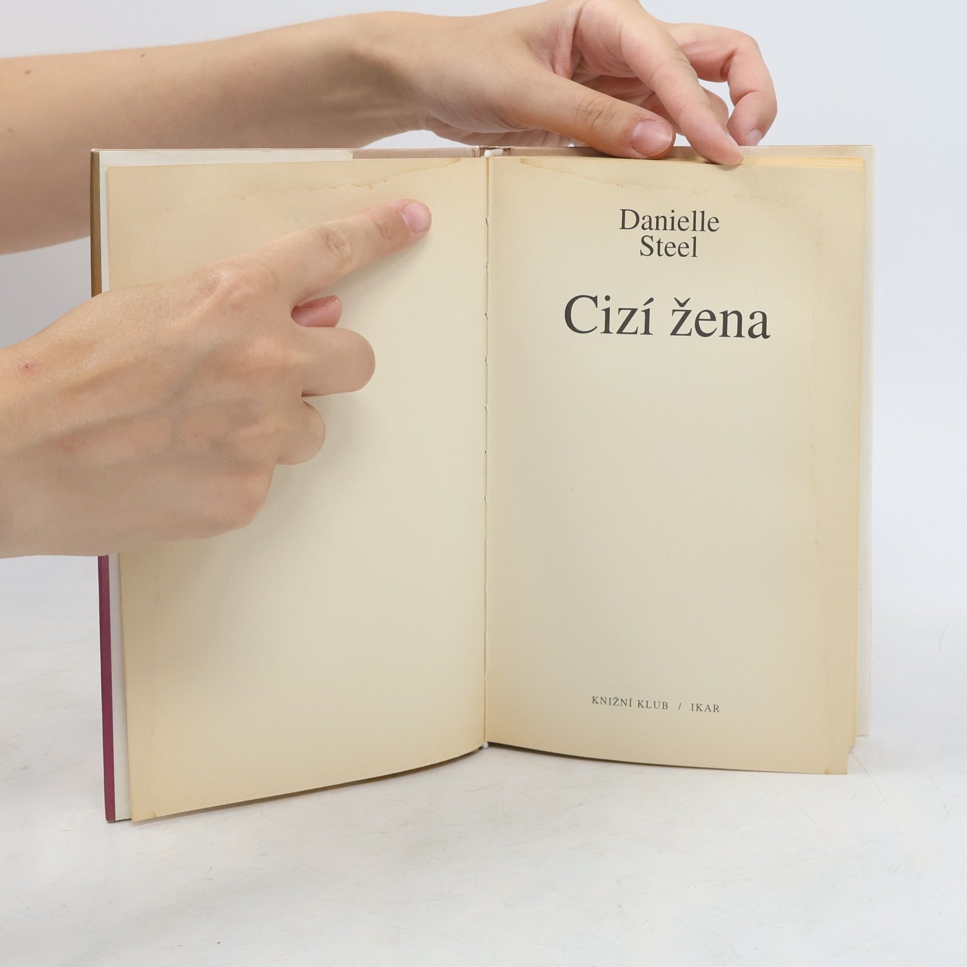 Danielle Steel Cizí žena